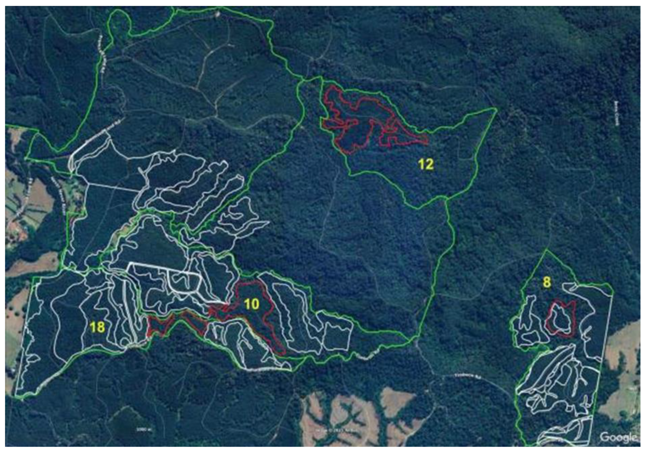 Preprints 168302 g012