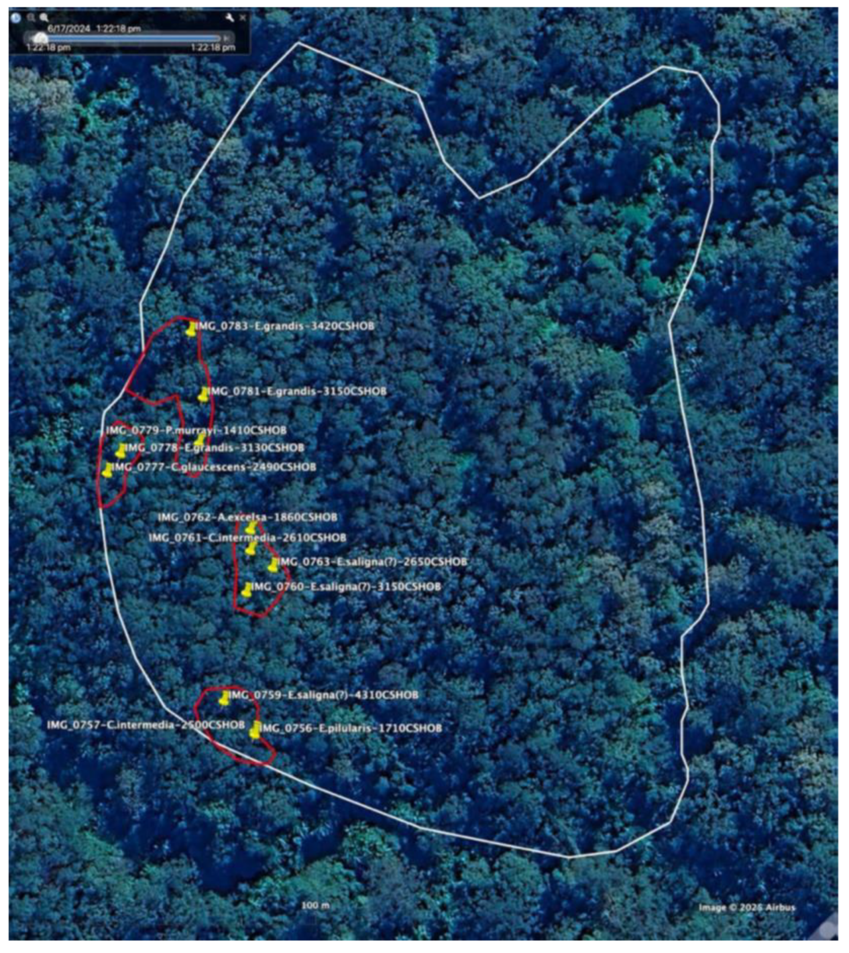 Preprints 168302 g013