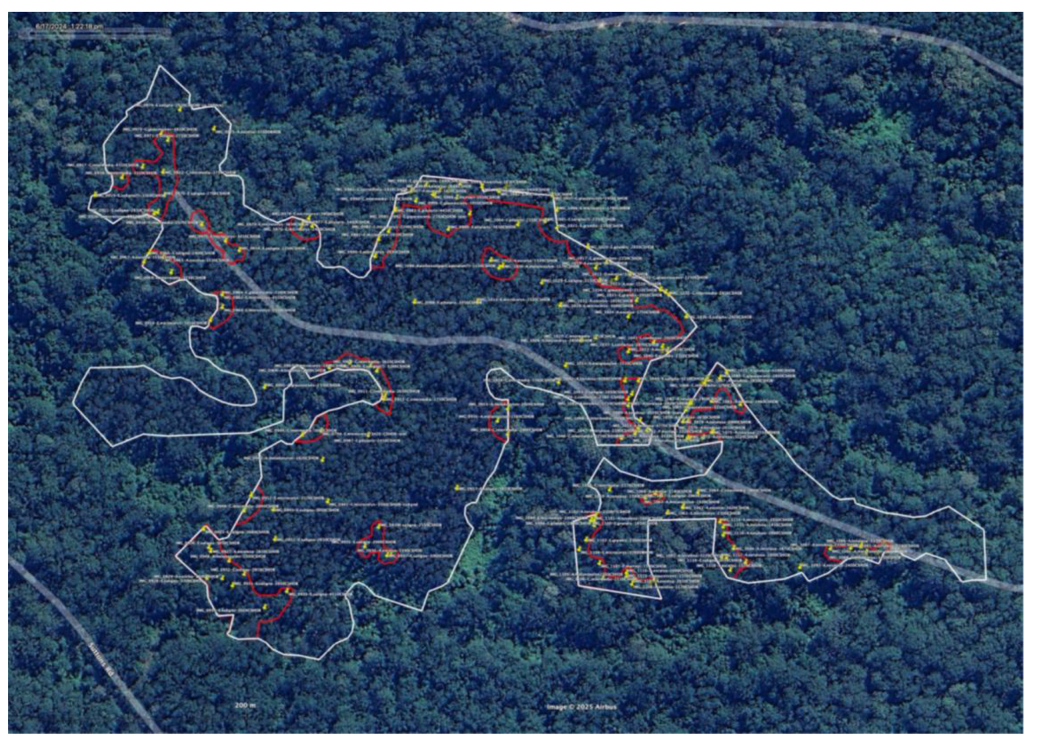 Preprints 168302 g015