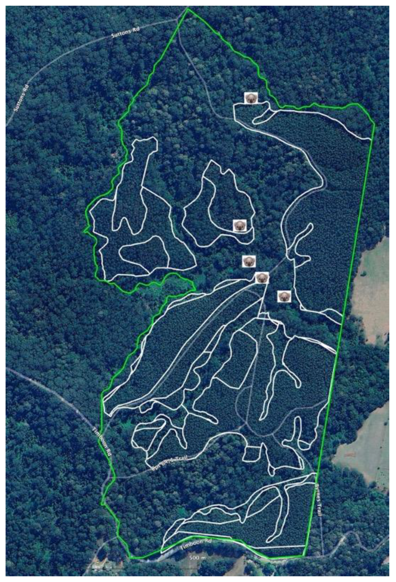 Preprints 168302 g018