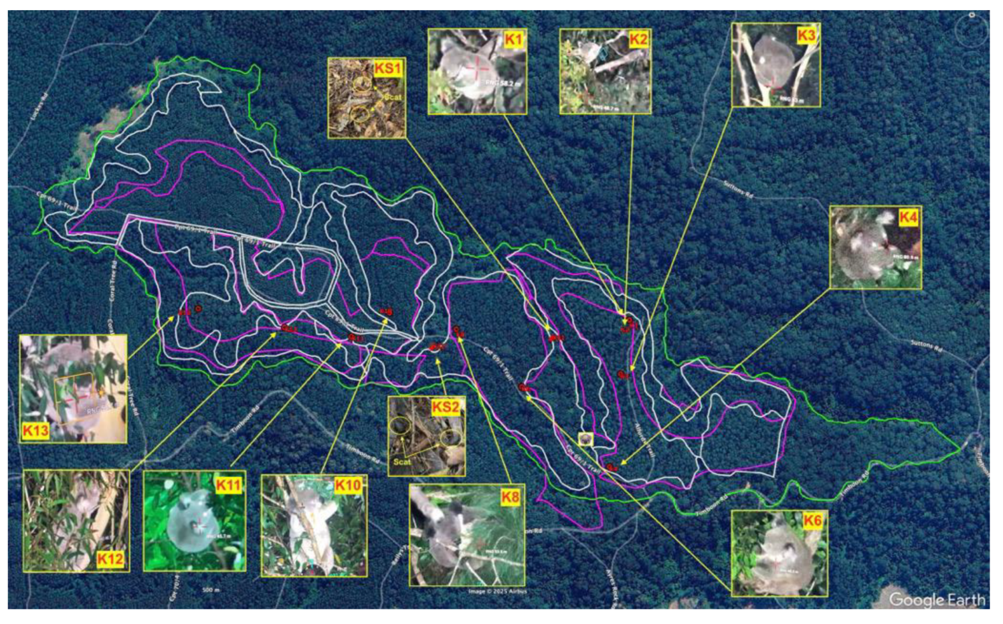 Preprints 168302 g019