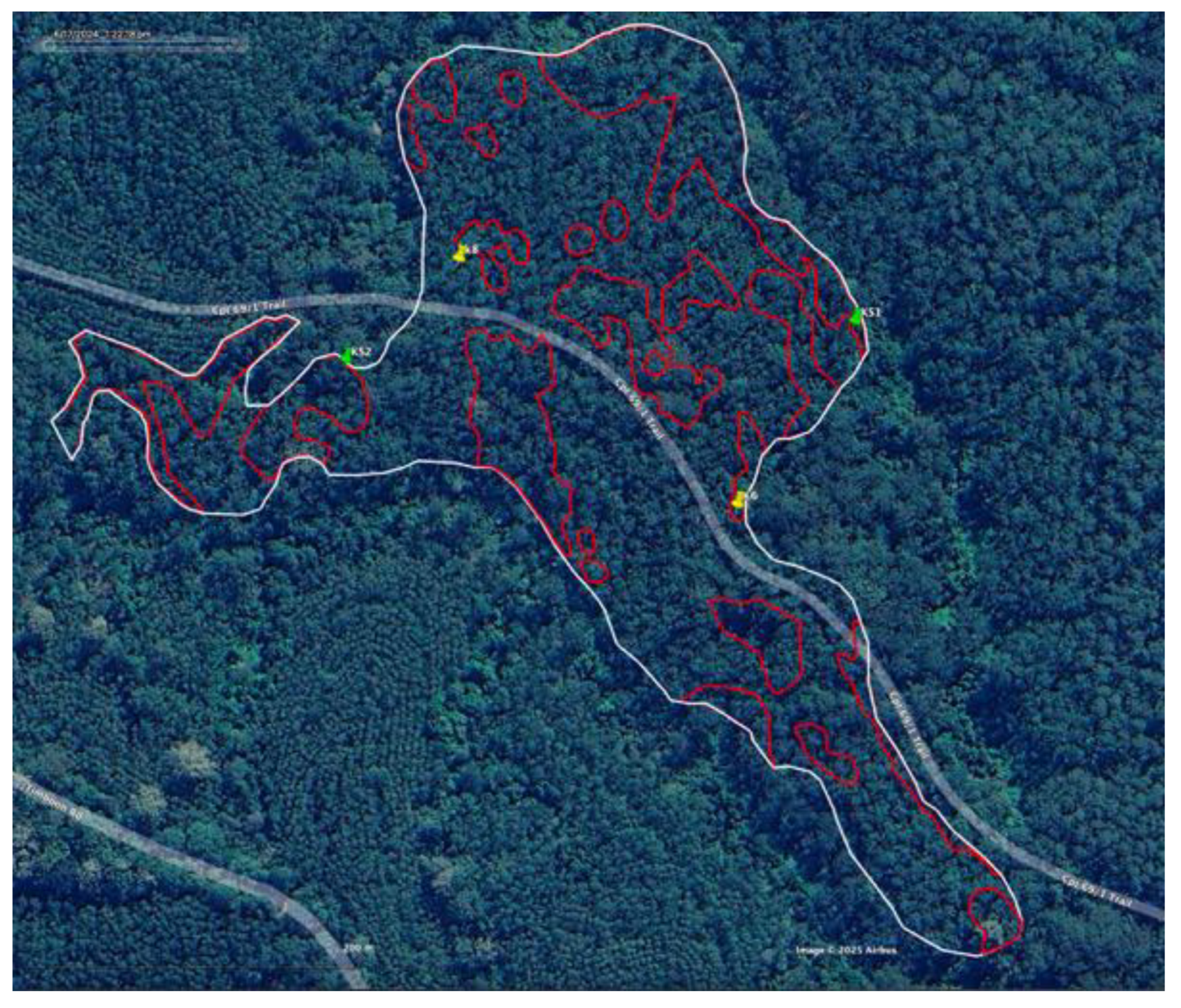 Preprints 168302 g020