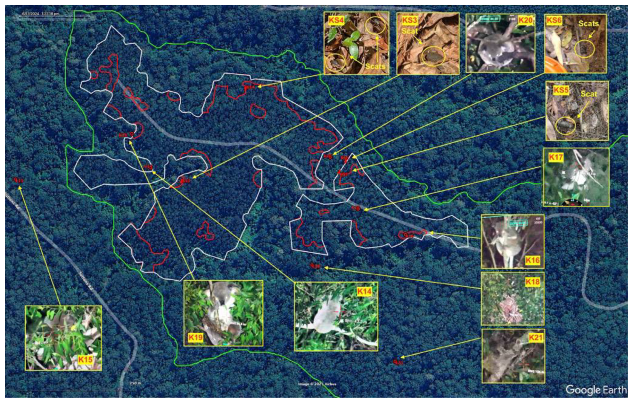 Preprints 168302 g021