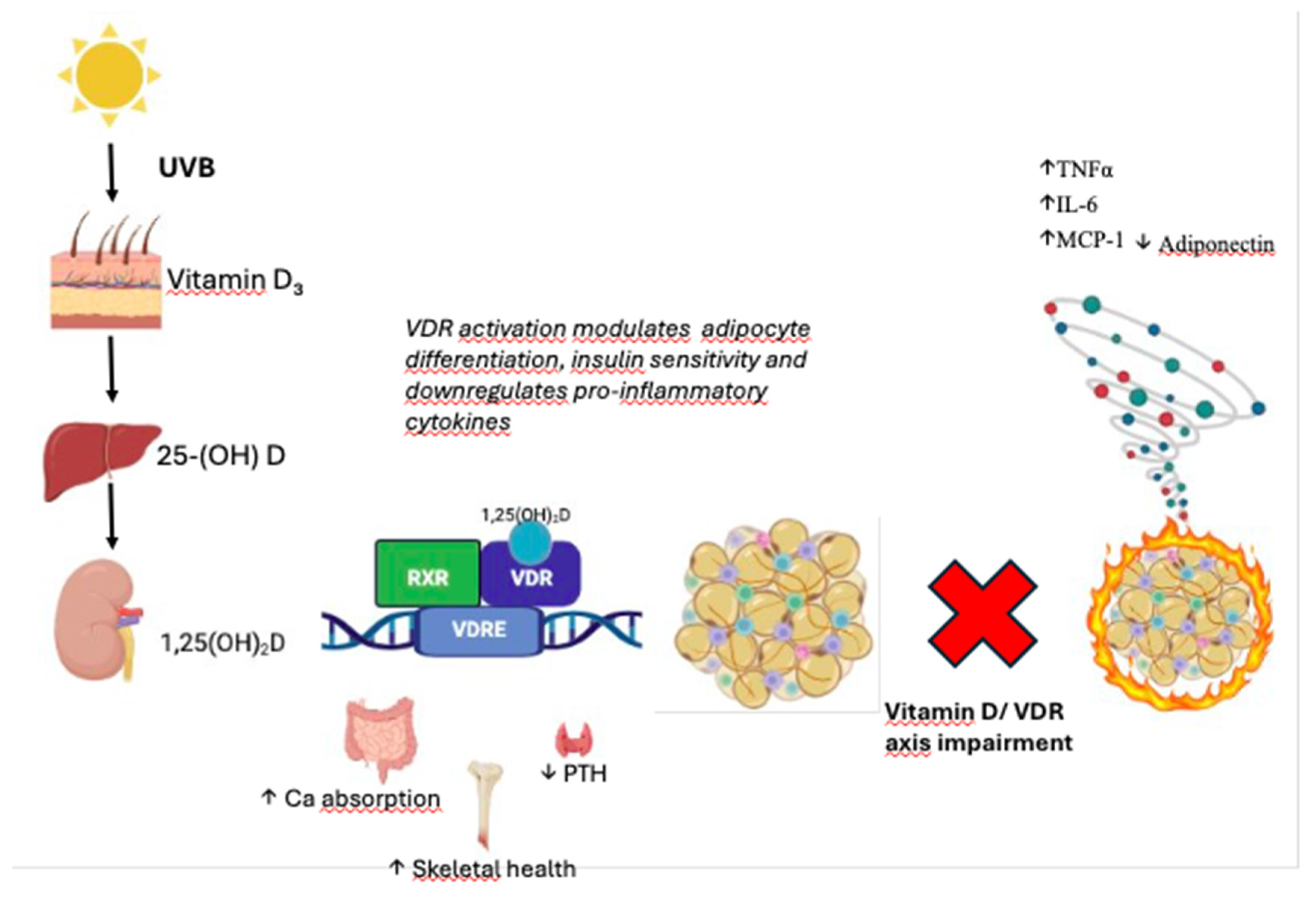 Preprints 176969 g001