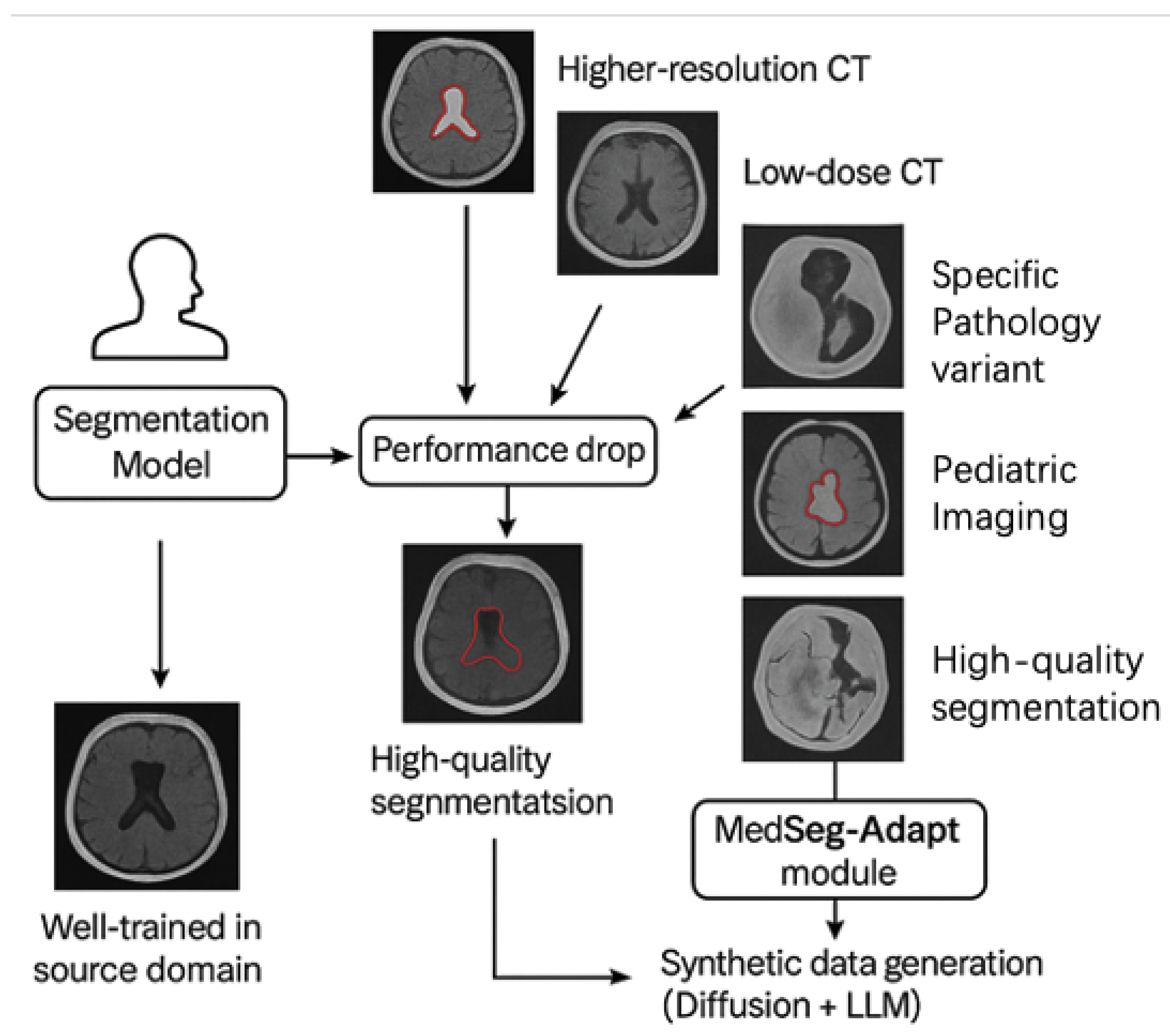 Preprints 185606 g001