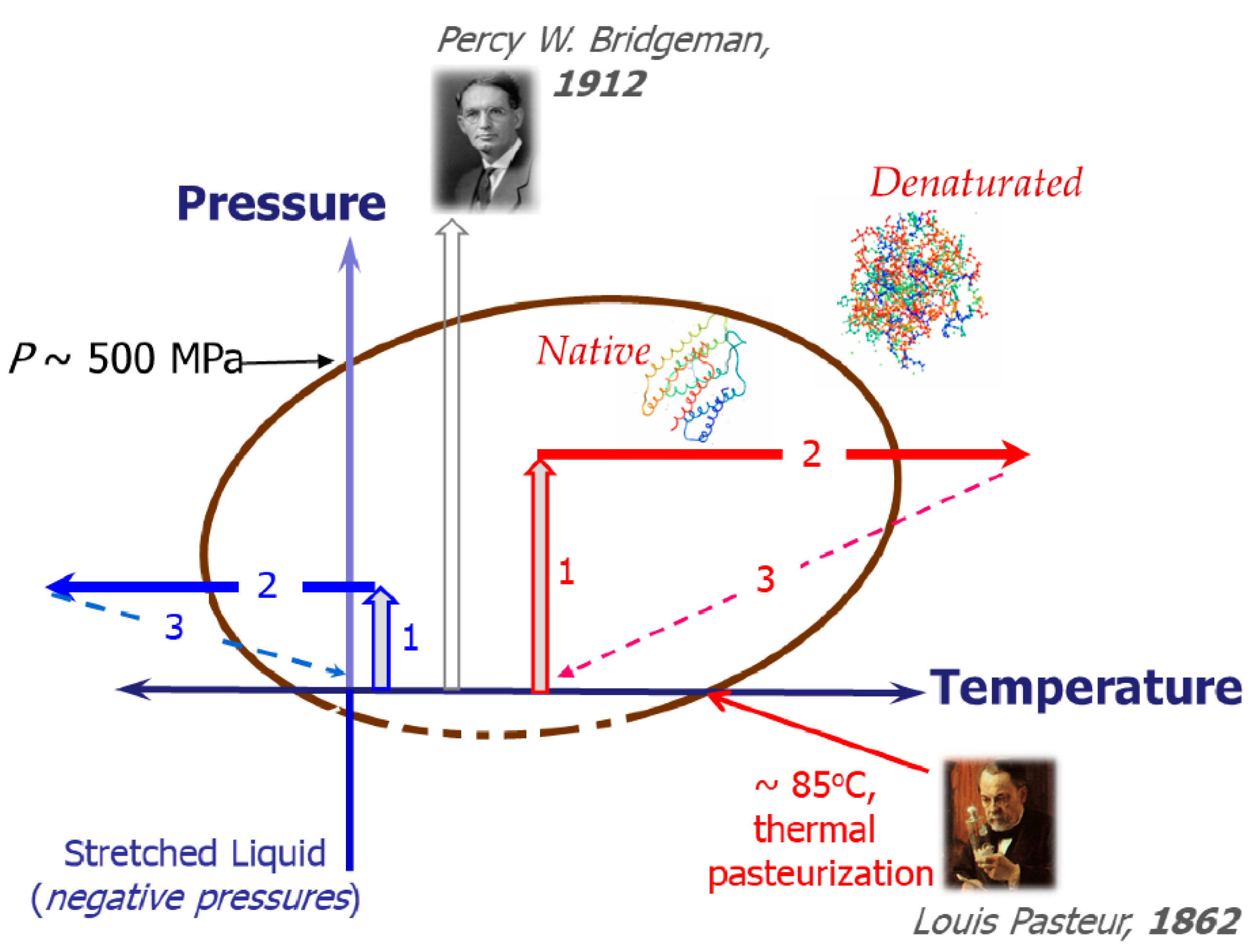 Preprints 158667 g003