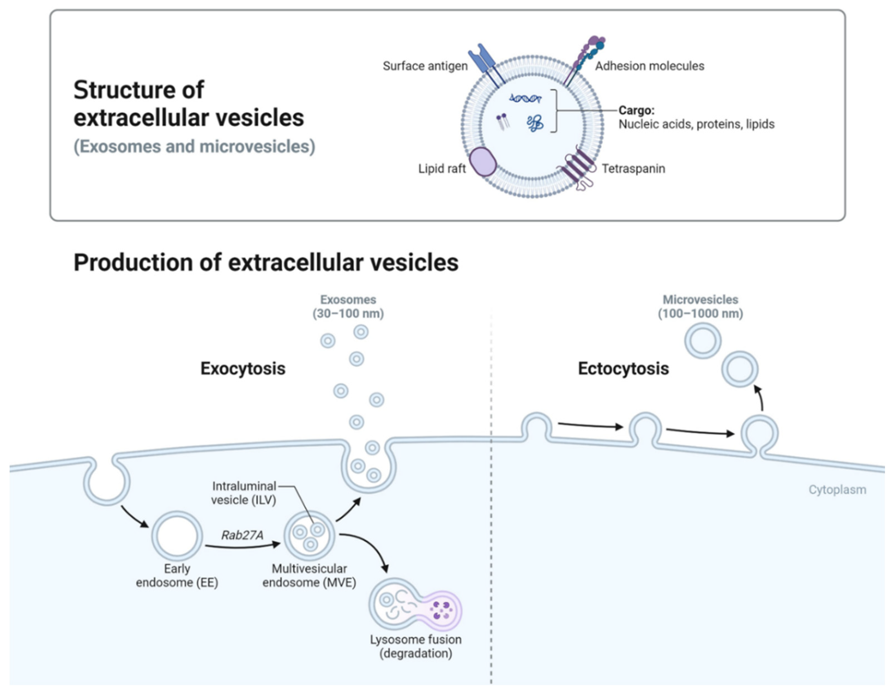 Preprints 146065 g001