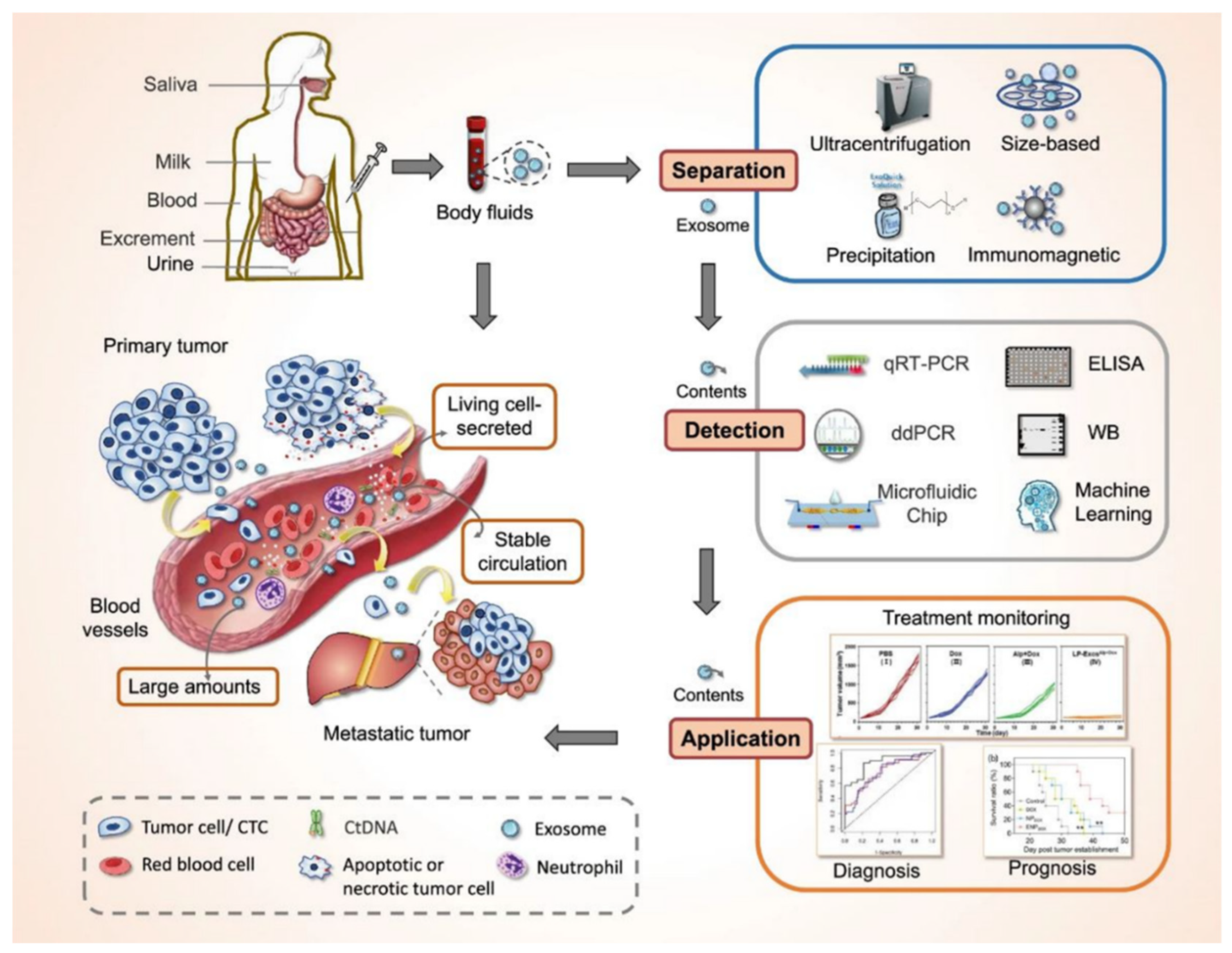 Preprints 146065 g002