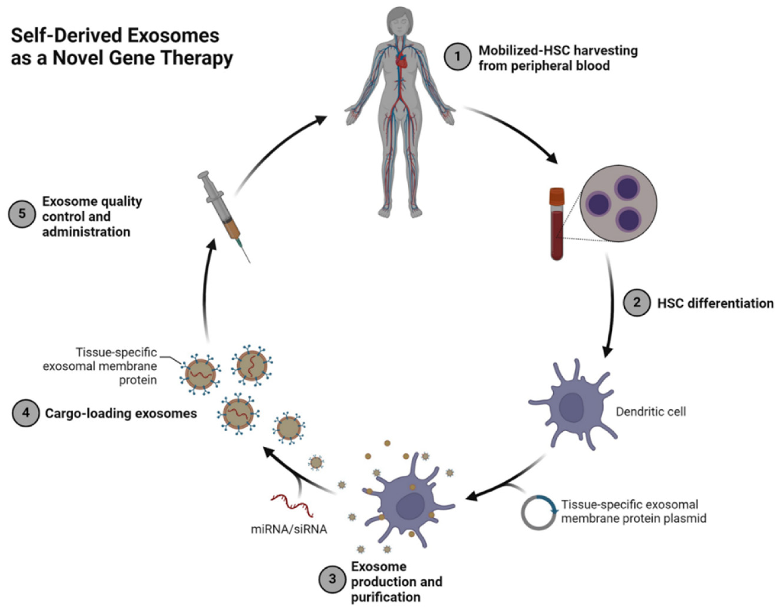 Preprints 146065 g003