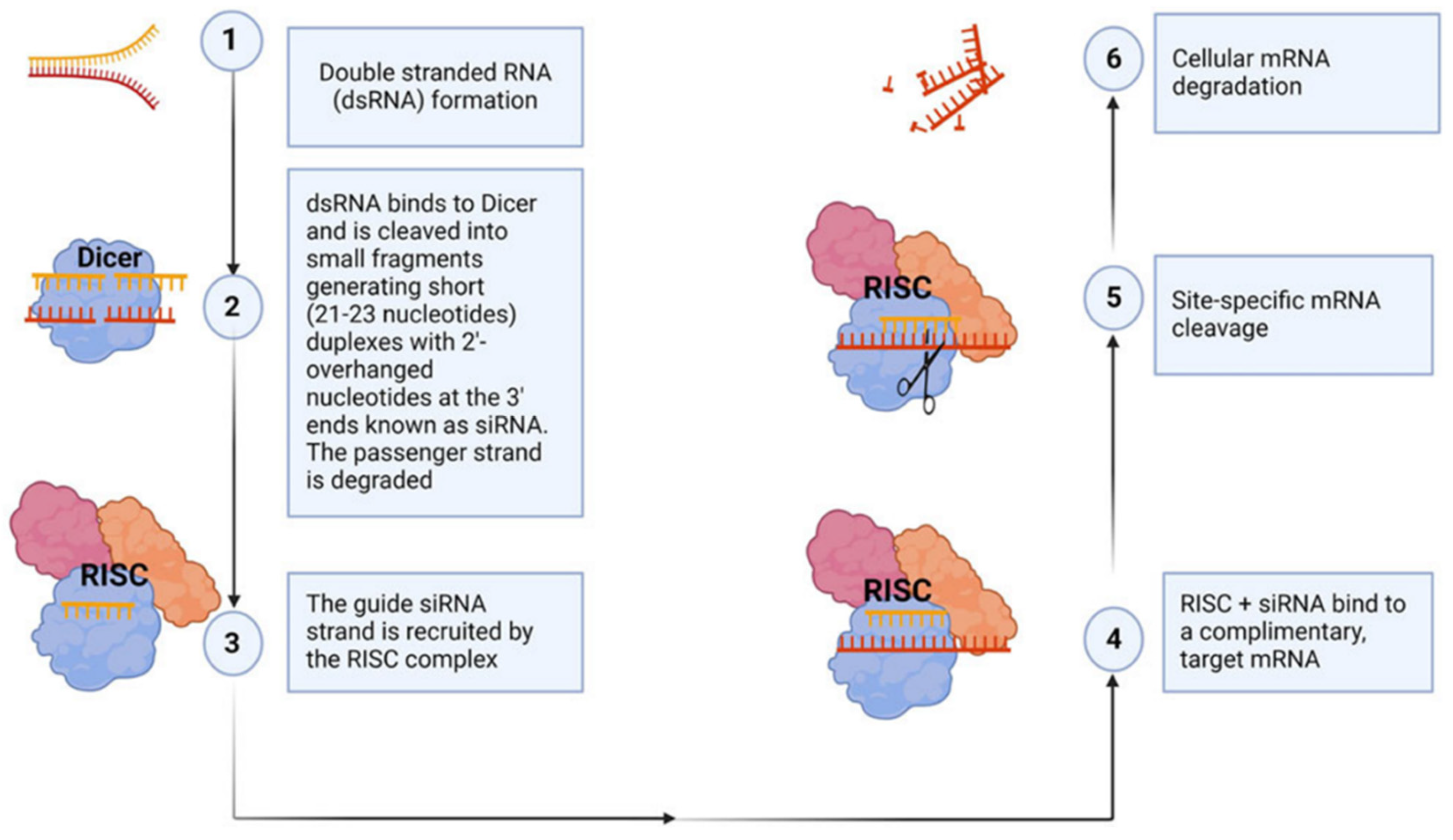 Preprints 146065 g004