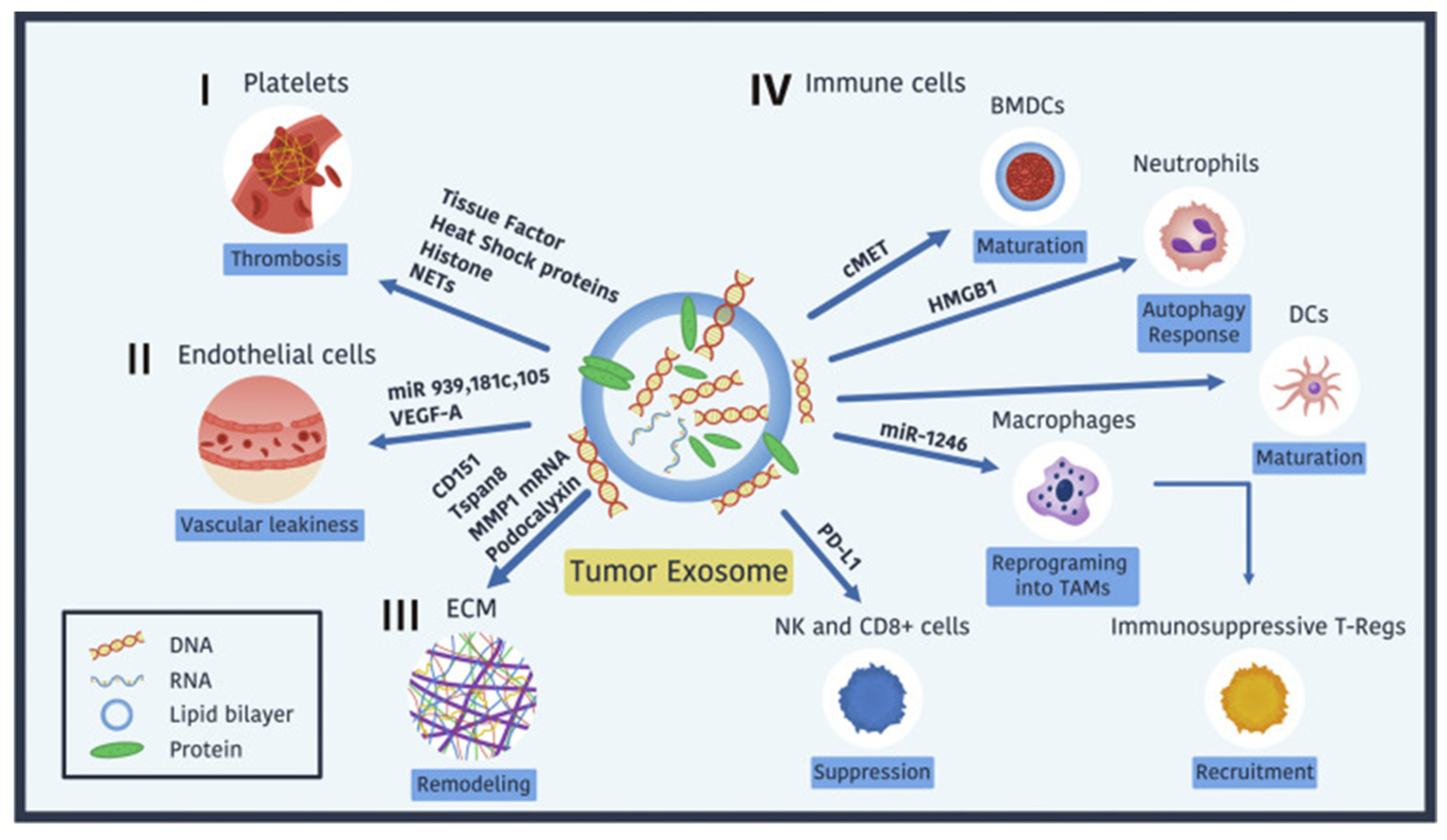 Preprints 146065 g005