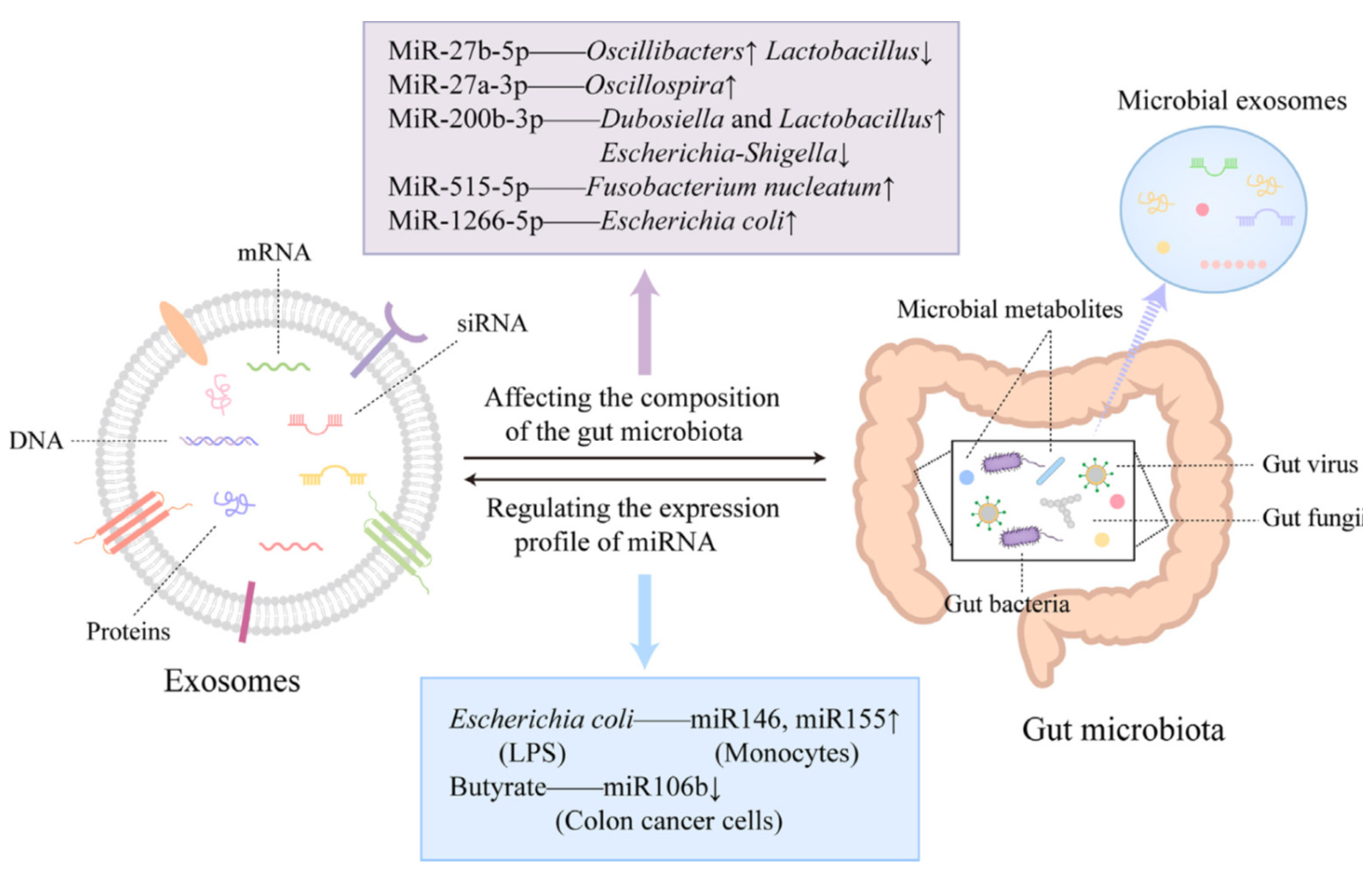 Preprints 146065 g006
