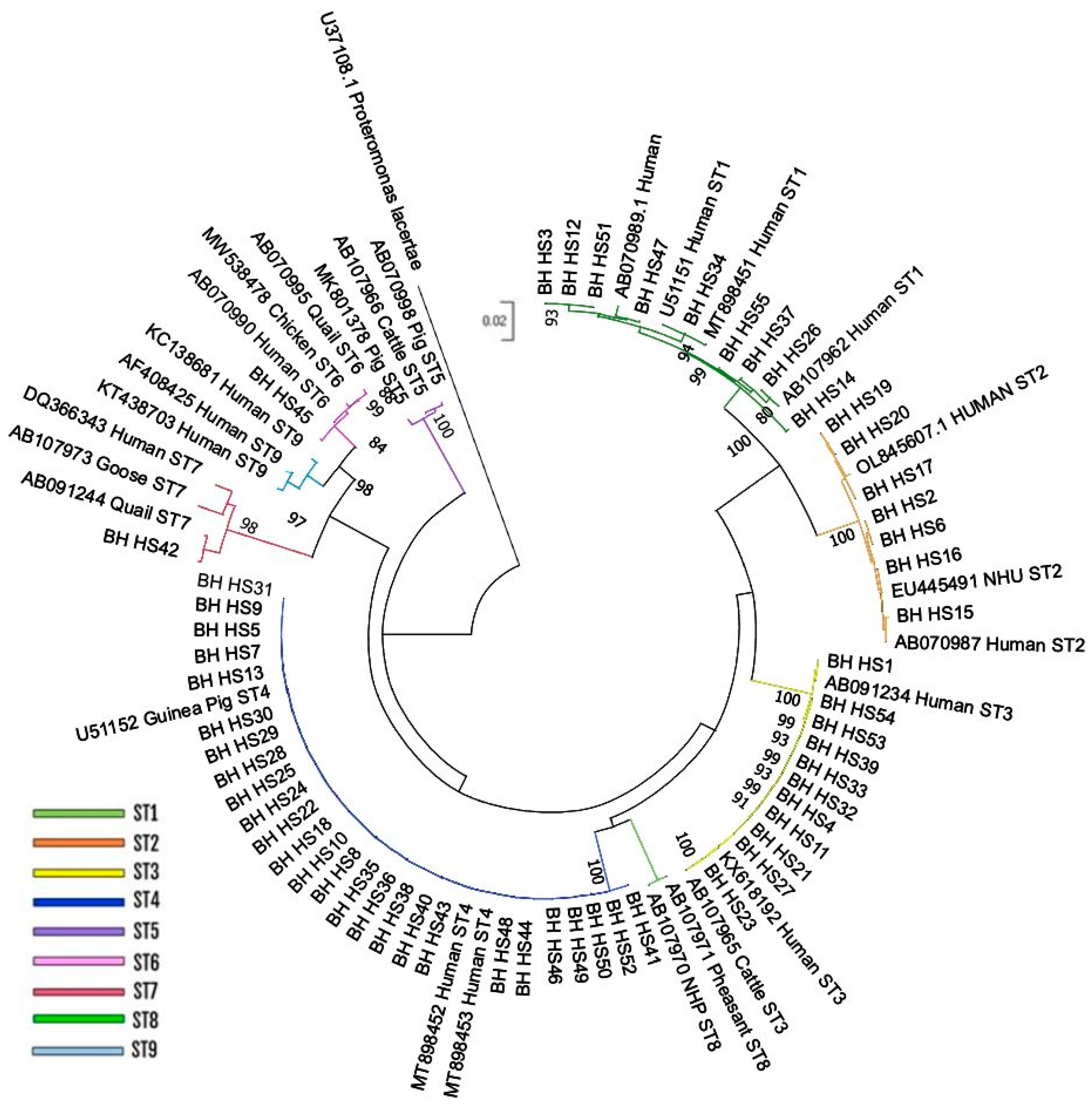 Preprints 139778 g001