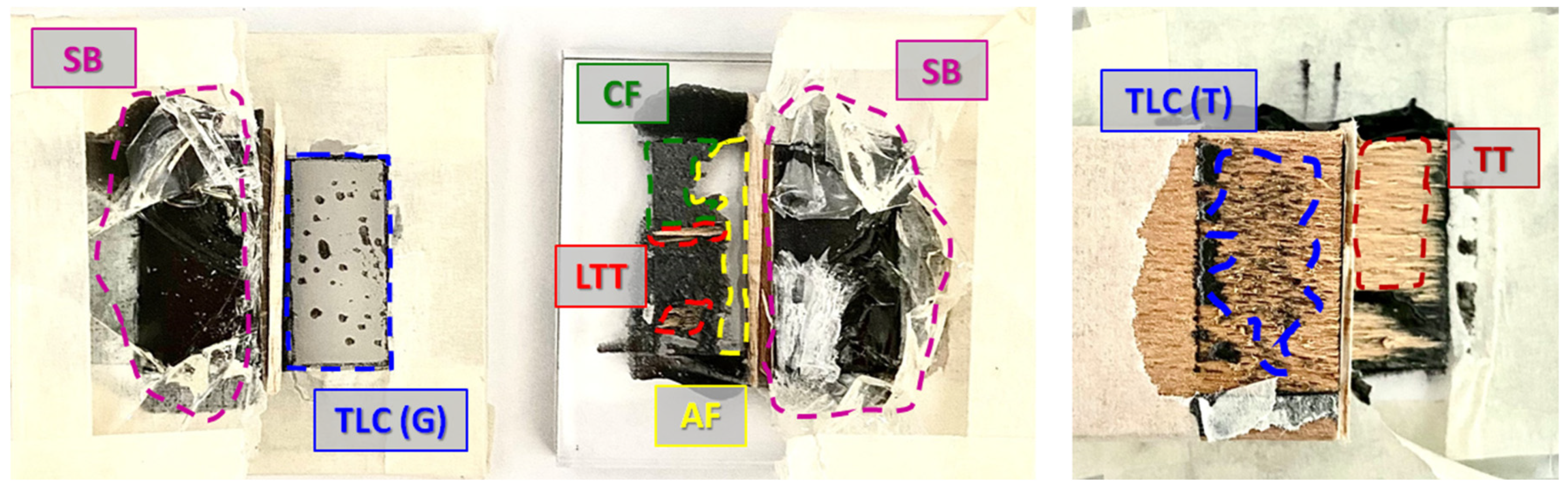 Preprints 143391 g006