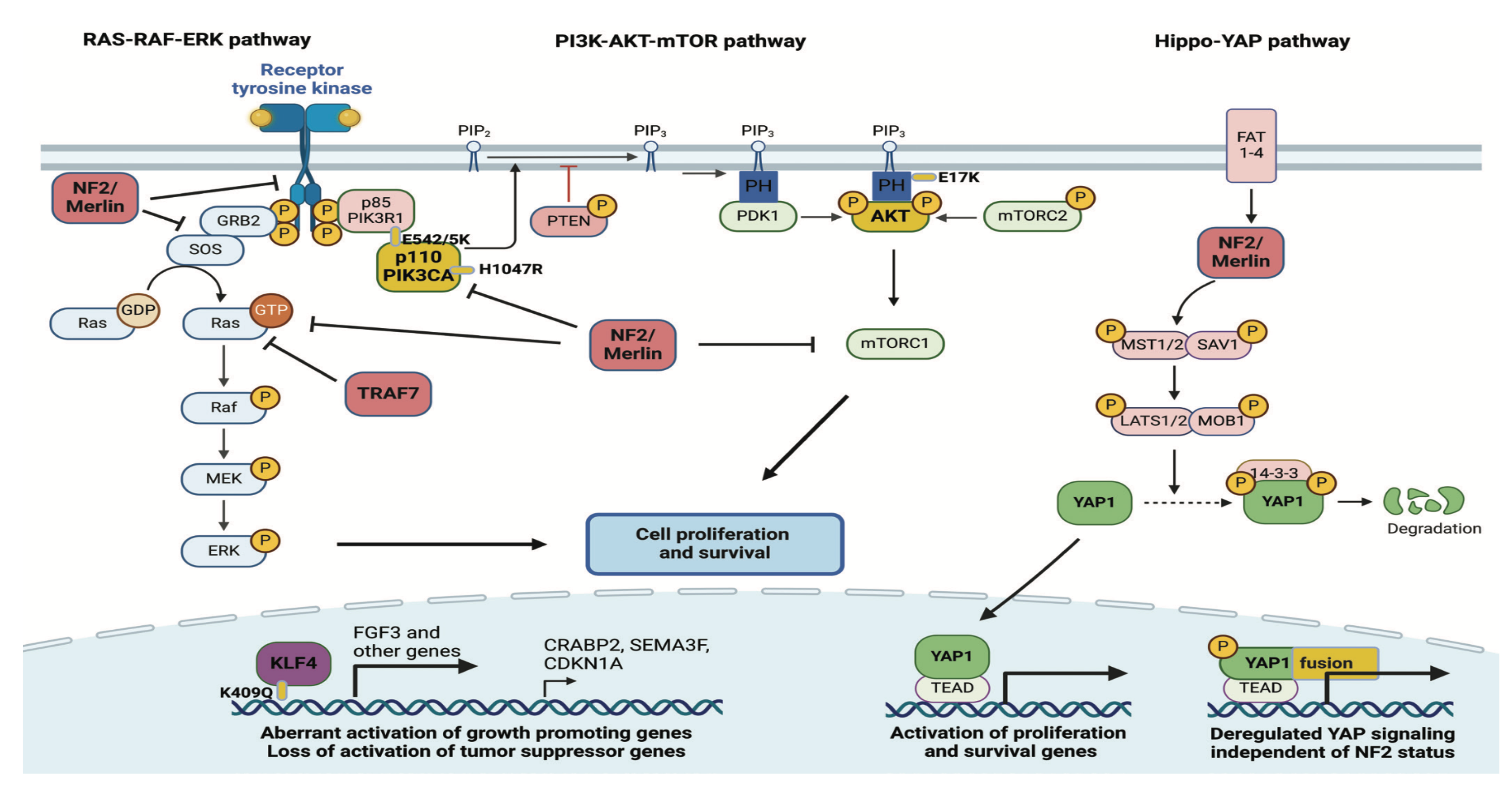 Preprints 160912 g001