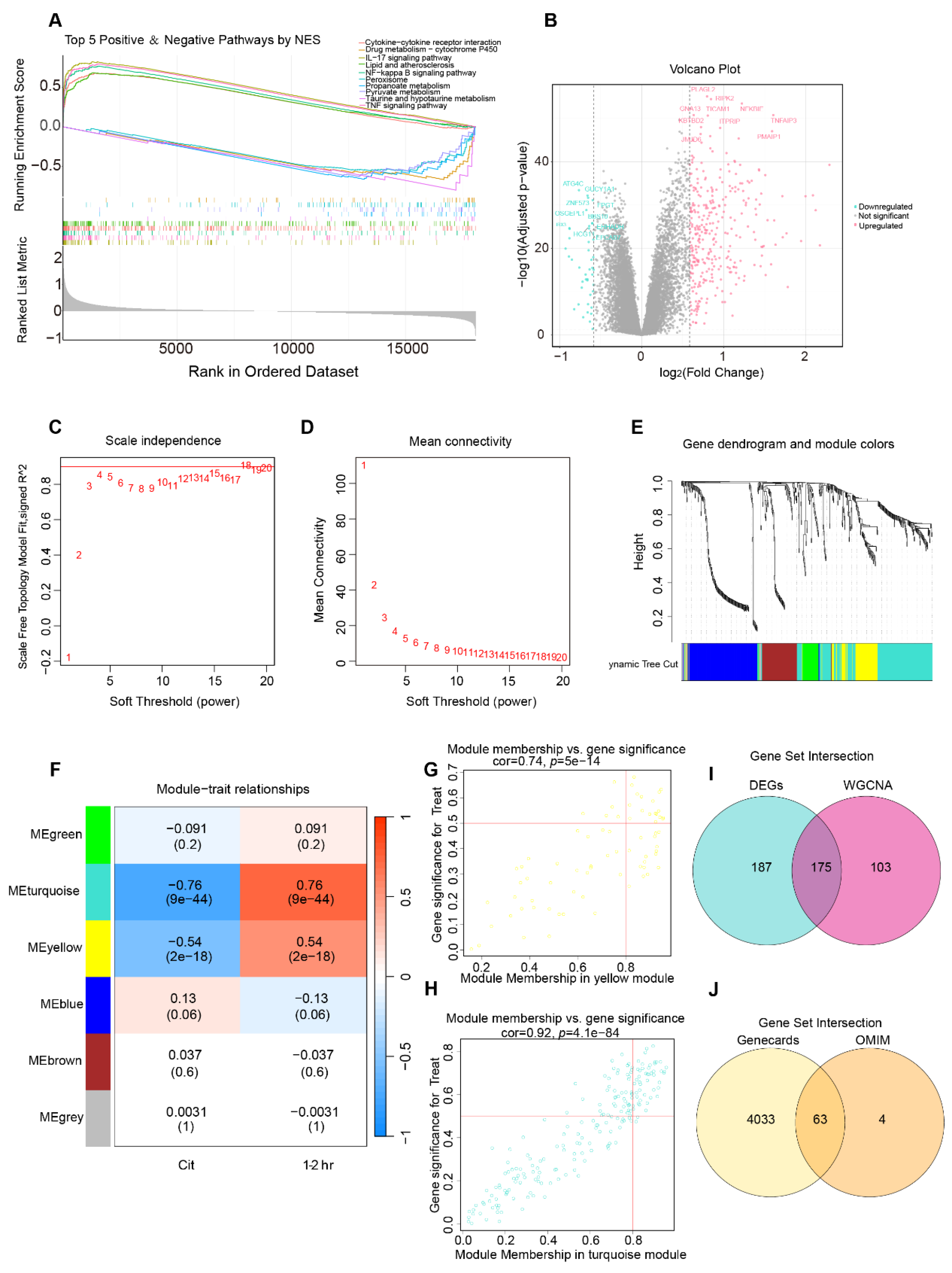 Preprints 206959 g001