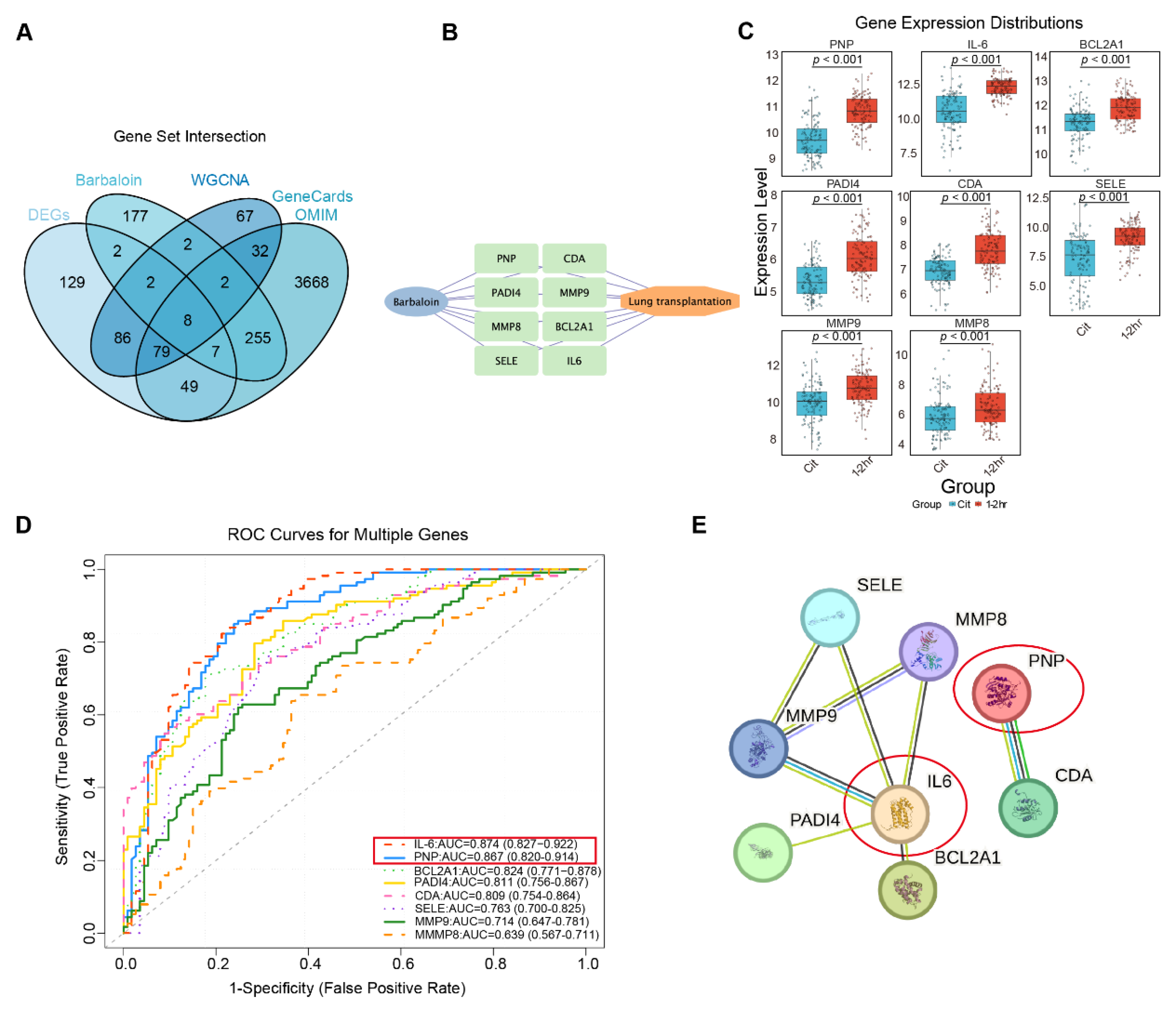 Preprints 206959 g003