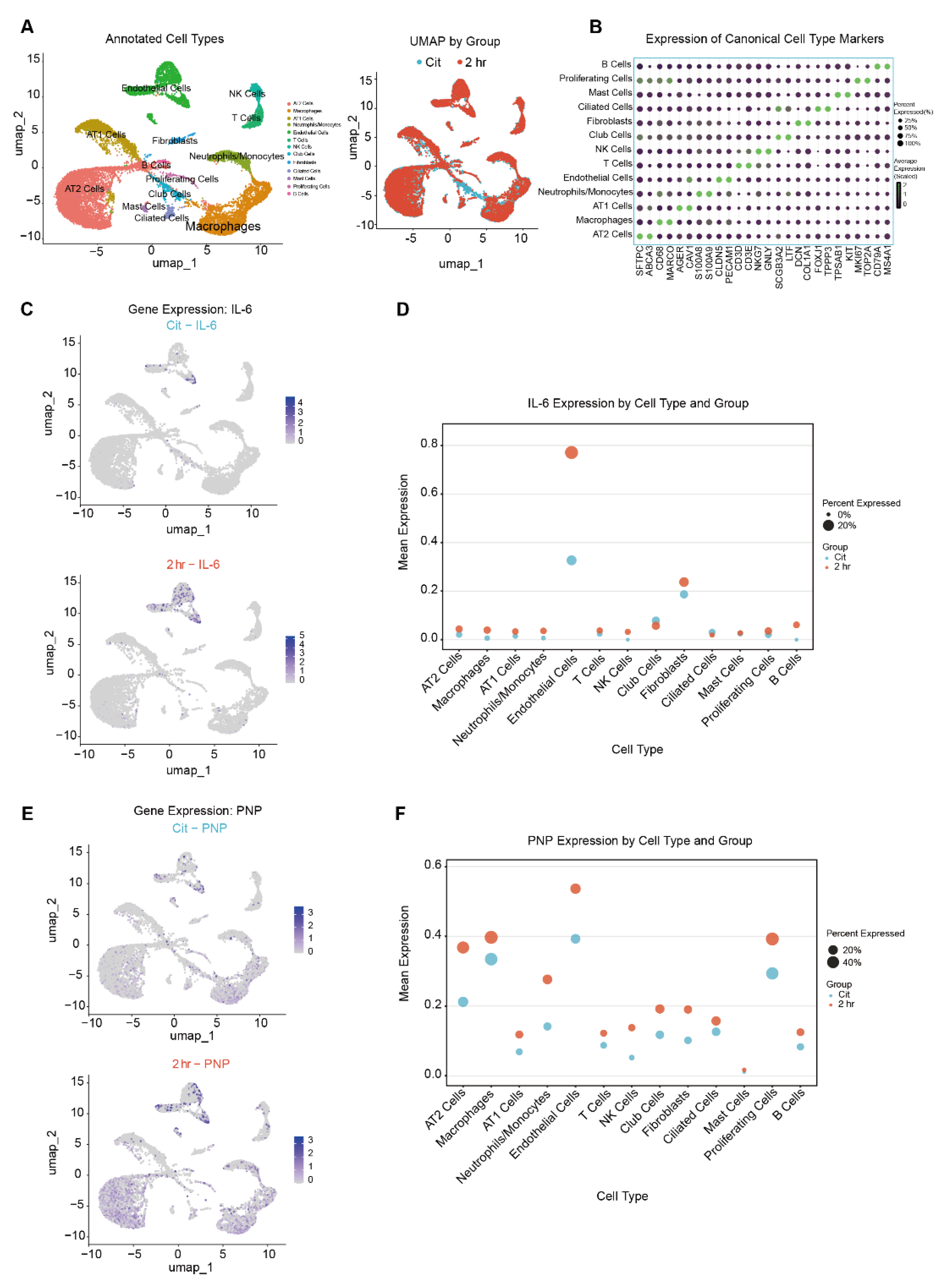 Preprints 206959 g005
