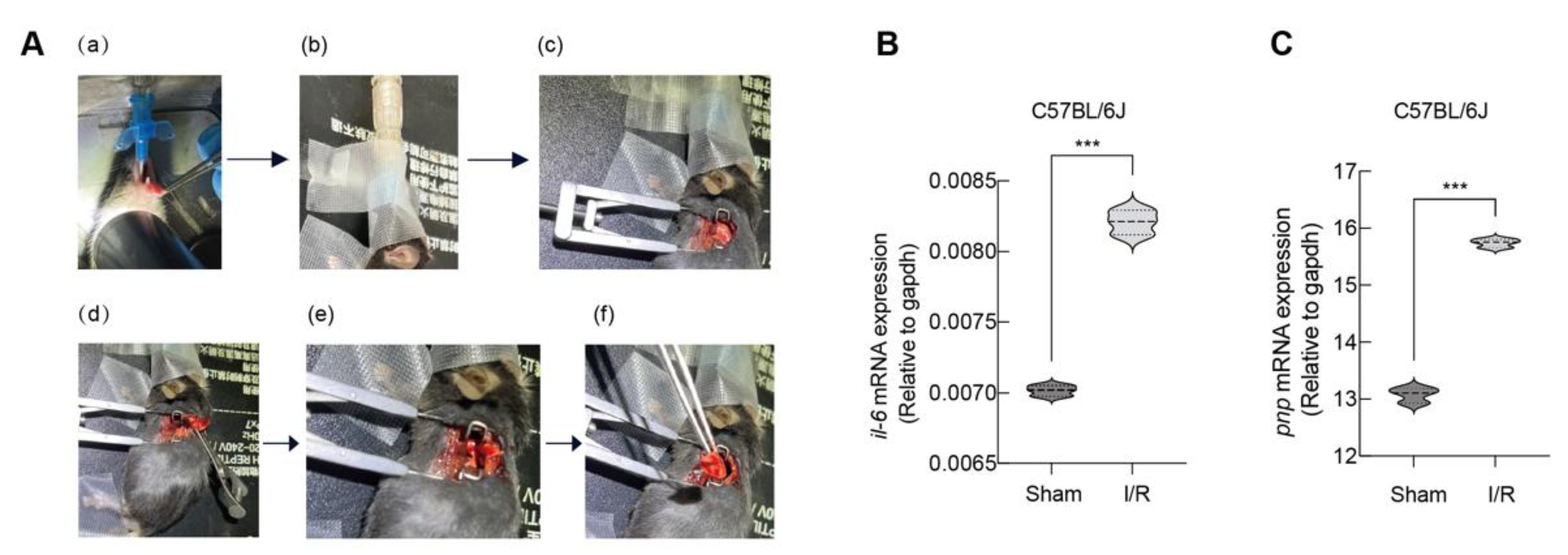 Preprints 206959 g007