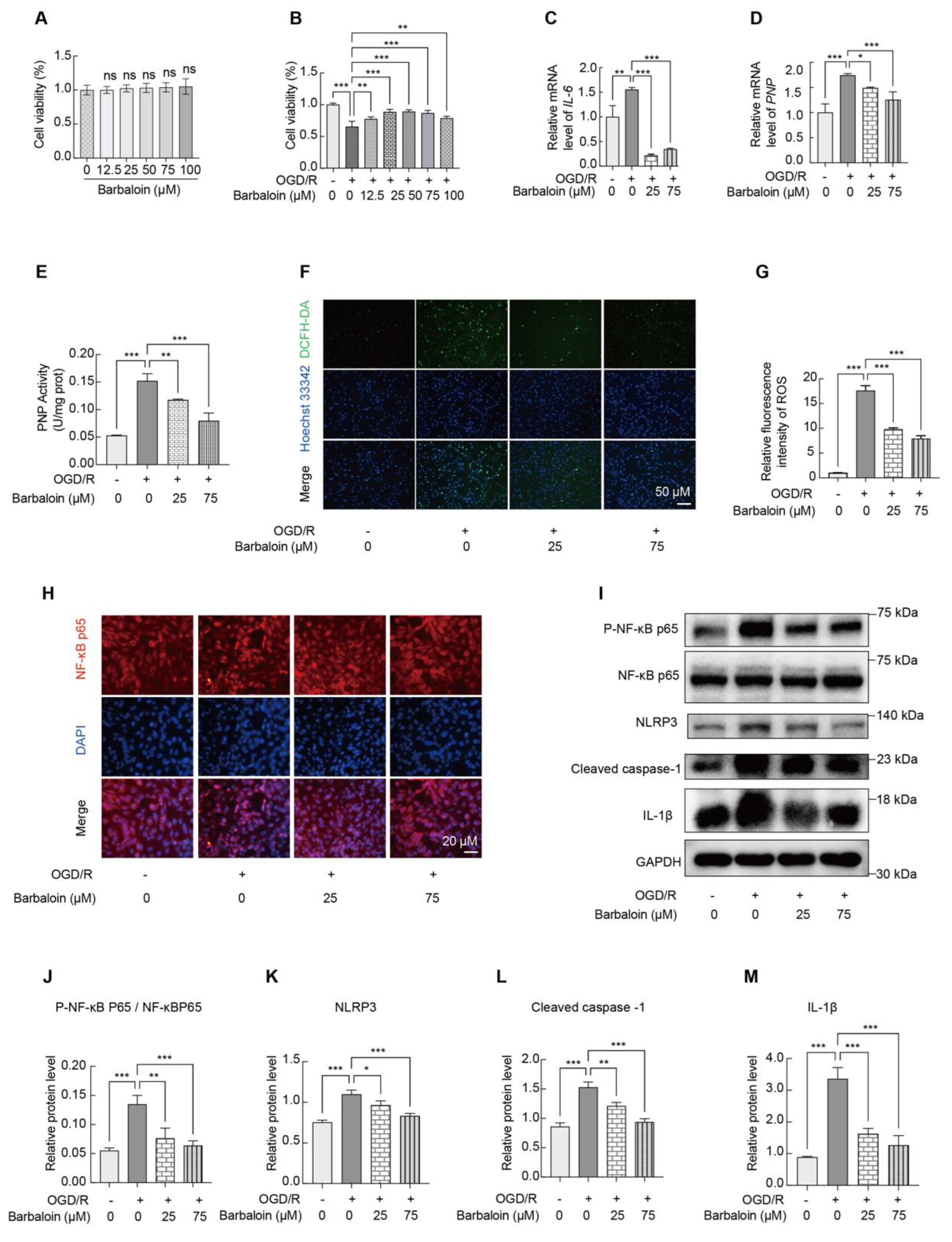 Preprints 206959 g008