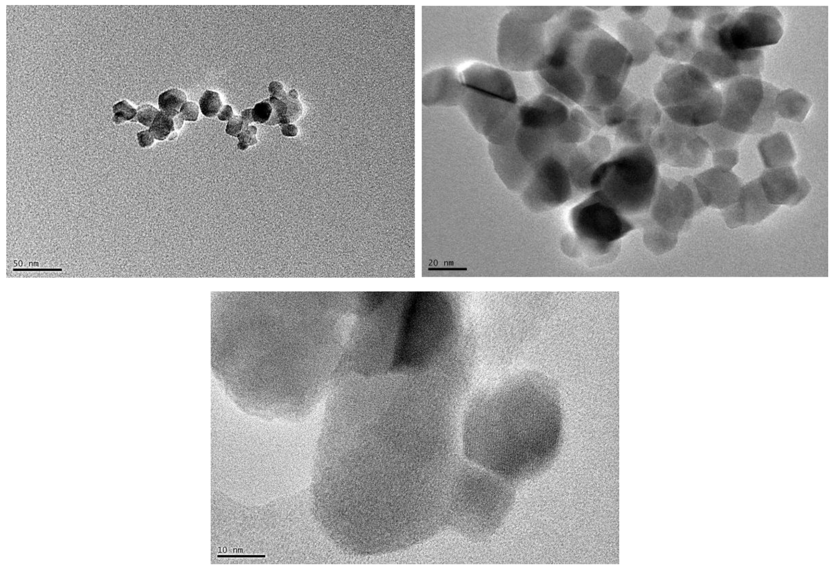 Preprints 158951 g001