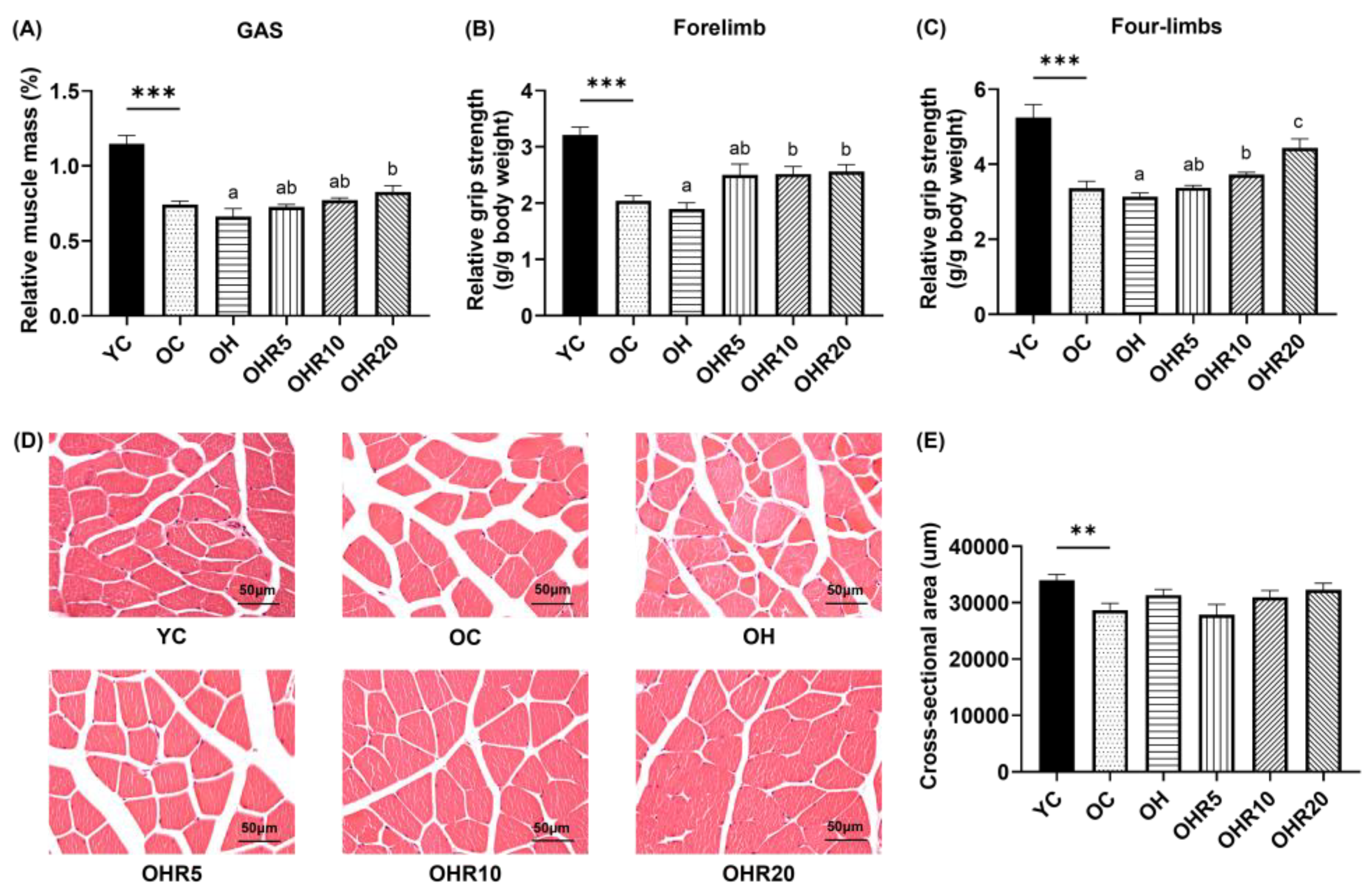 Preprints 194315 g003