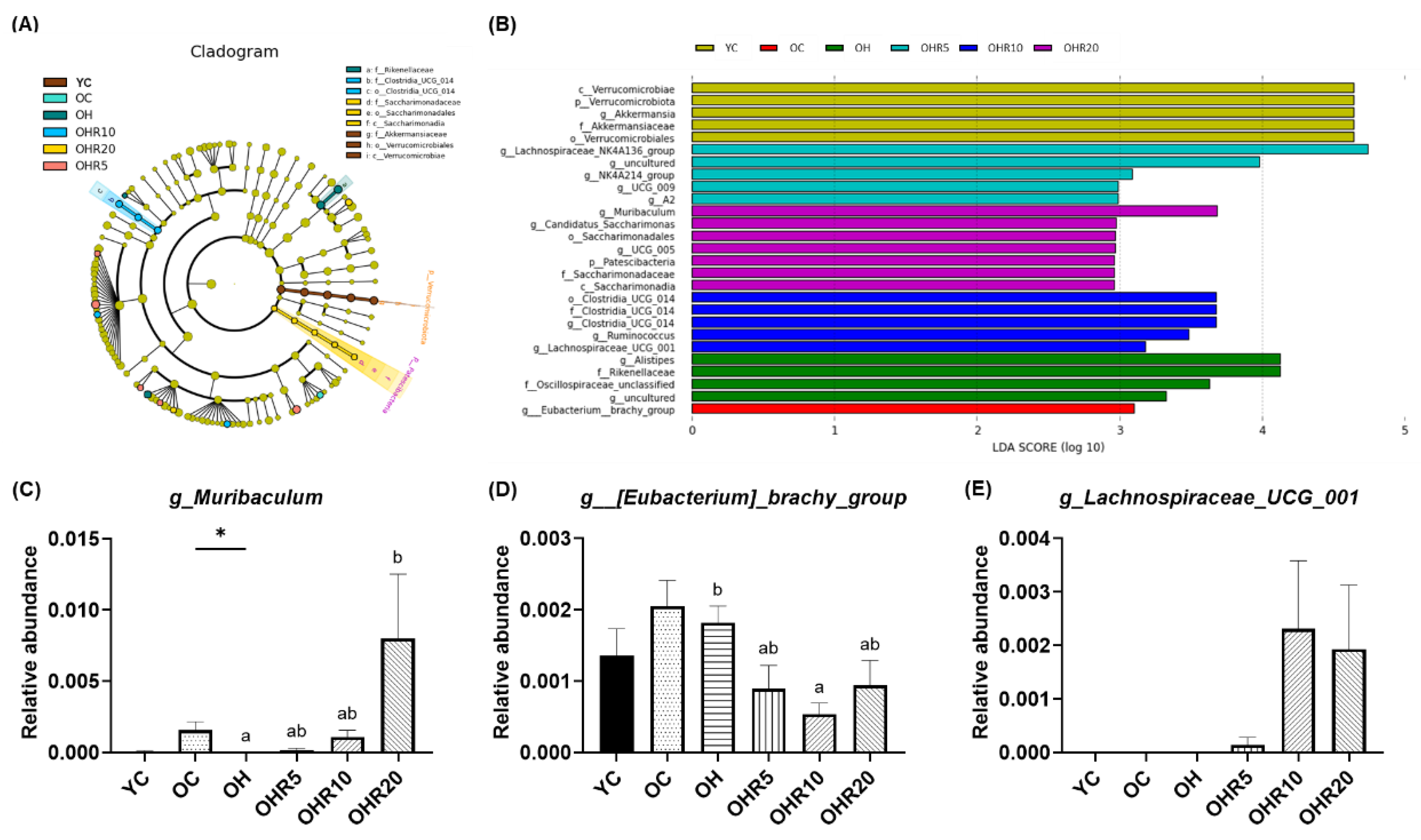 Preprints 194315 g007