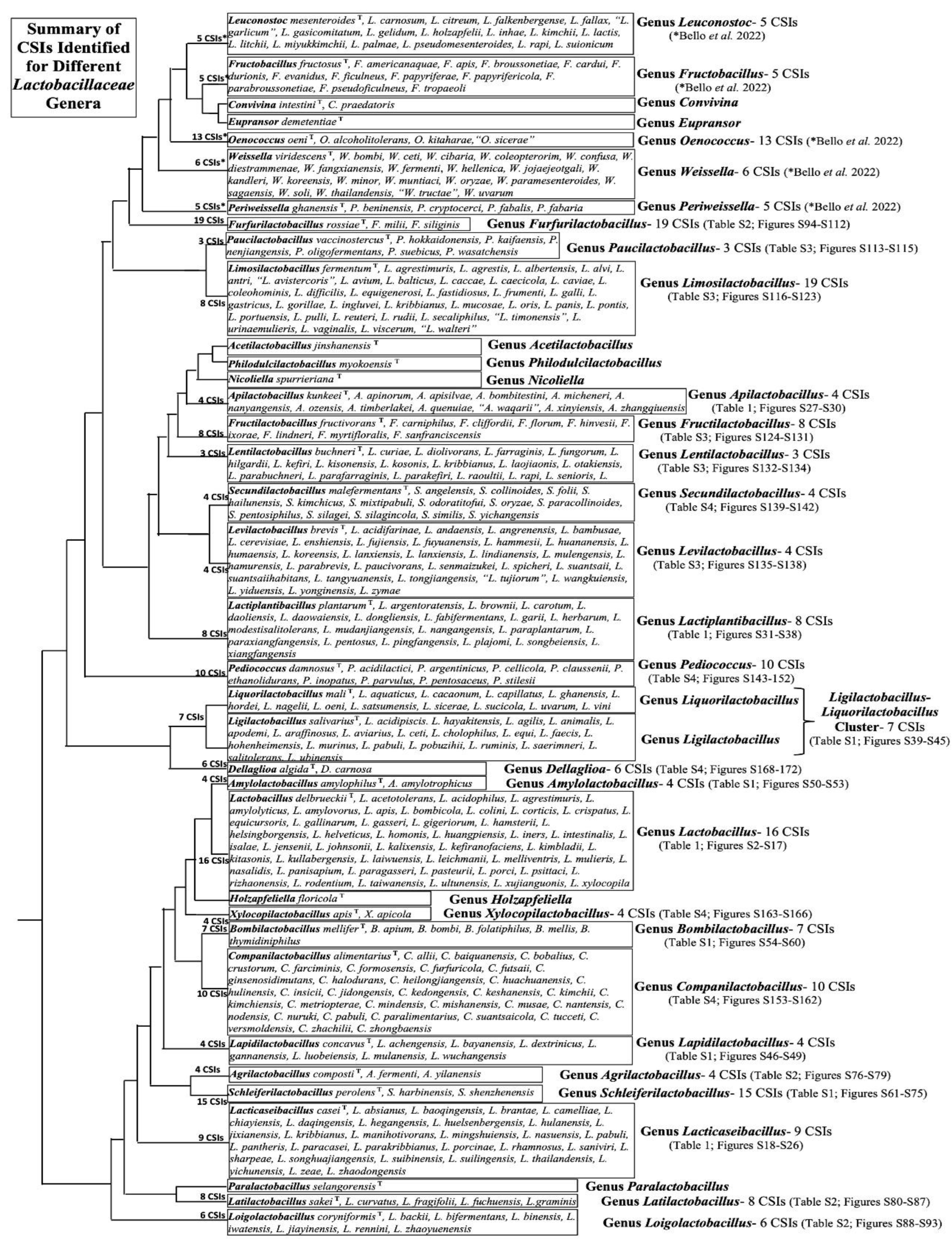 Preprints 165606 g005
