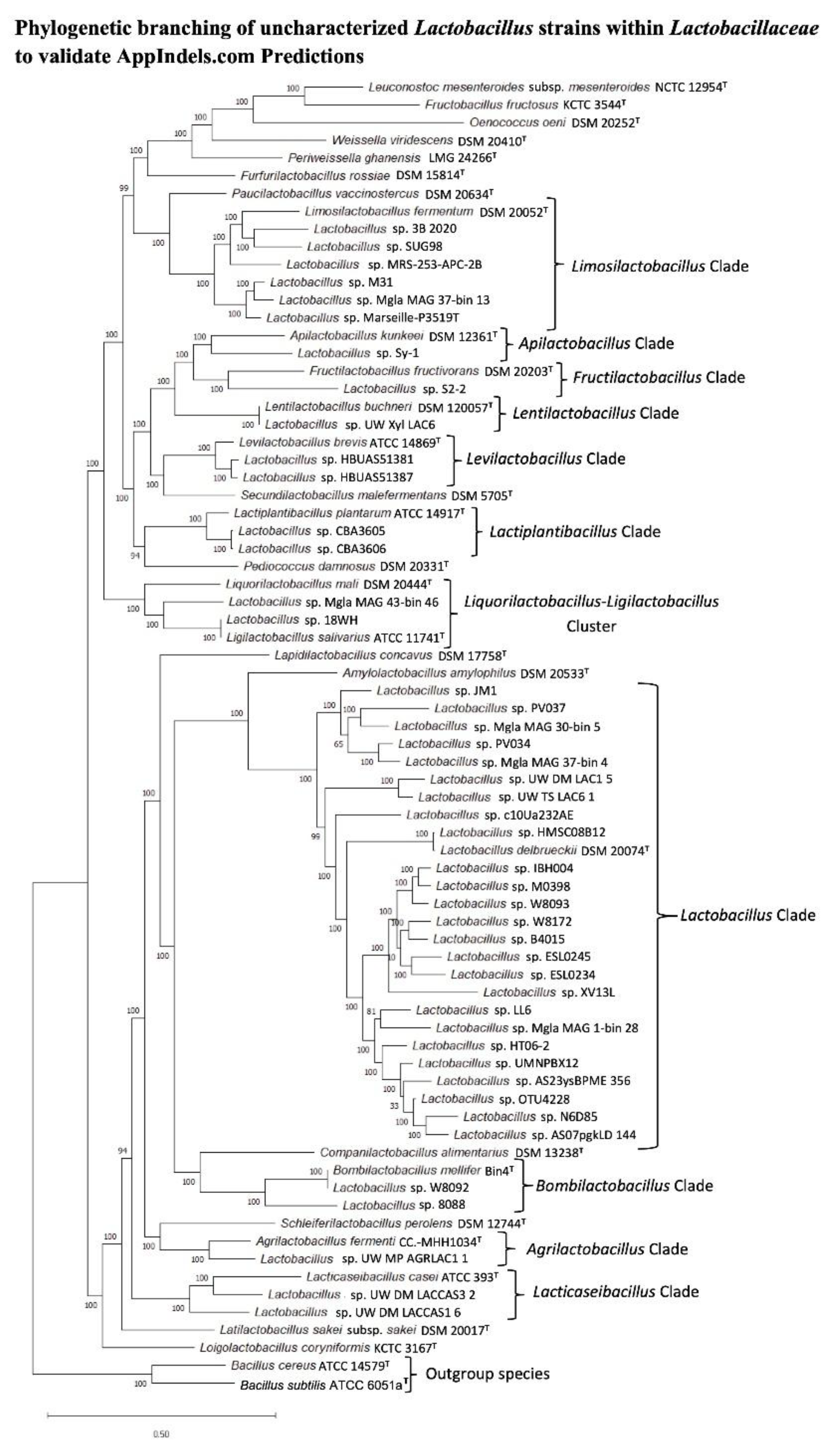 Preprints 165606 g008
