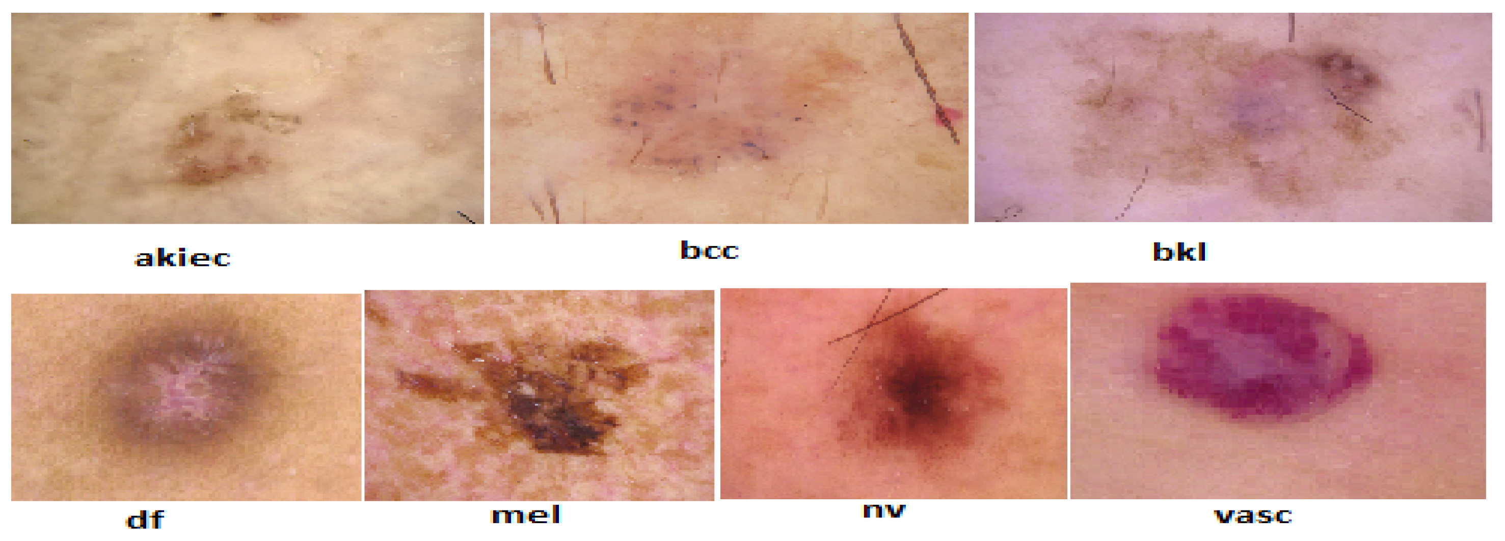 Preprints 167171 g003