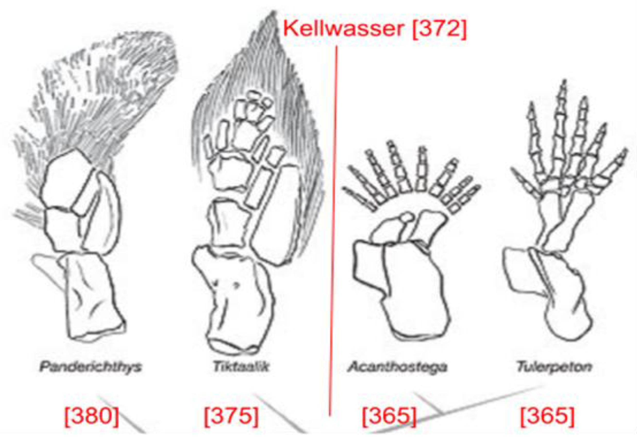 Preprints 194761 g003