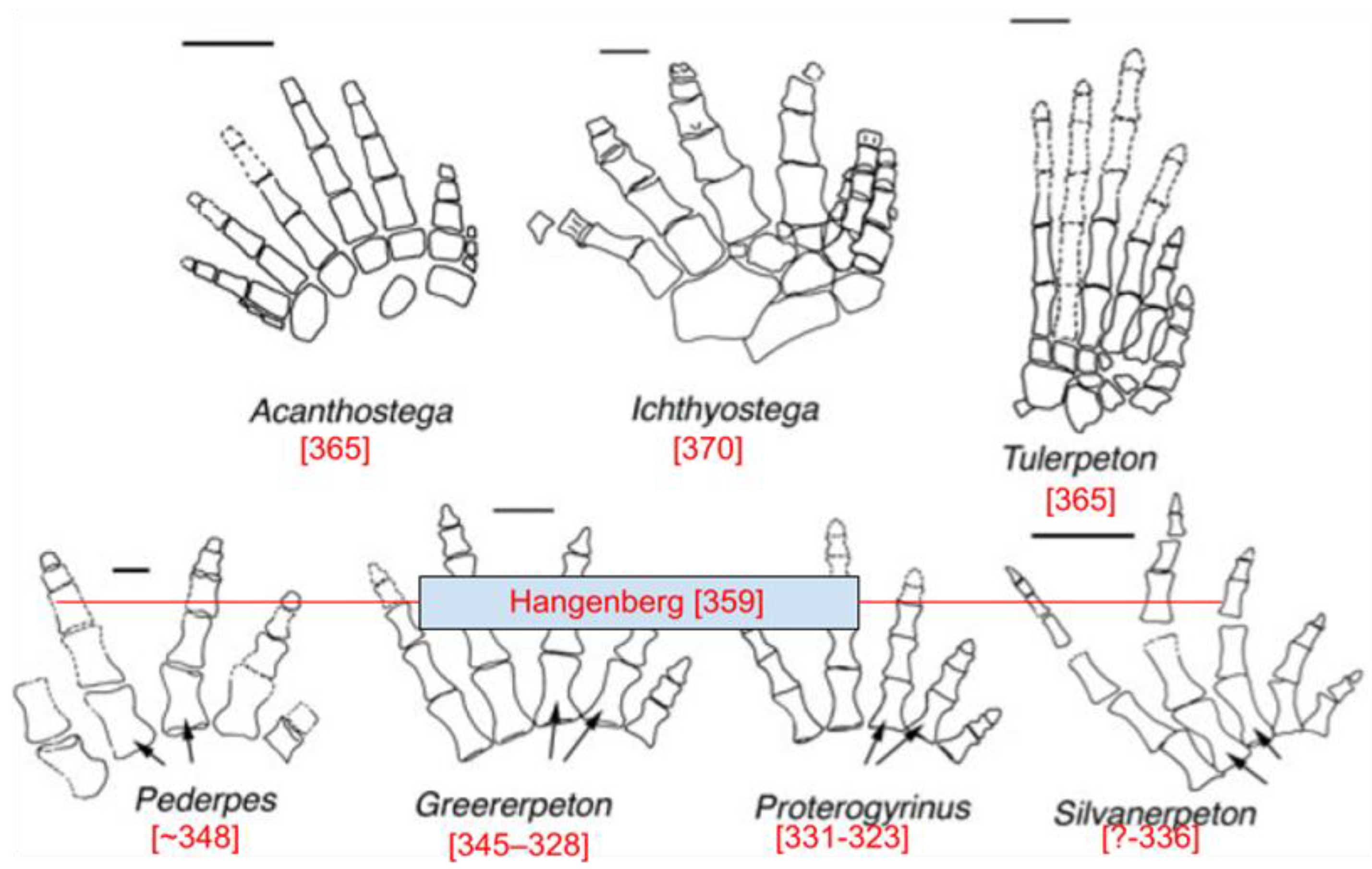 Preprints 194761 g004