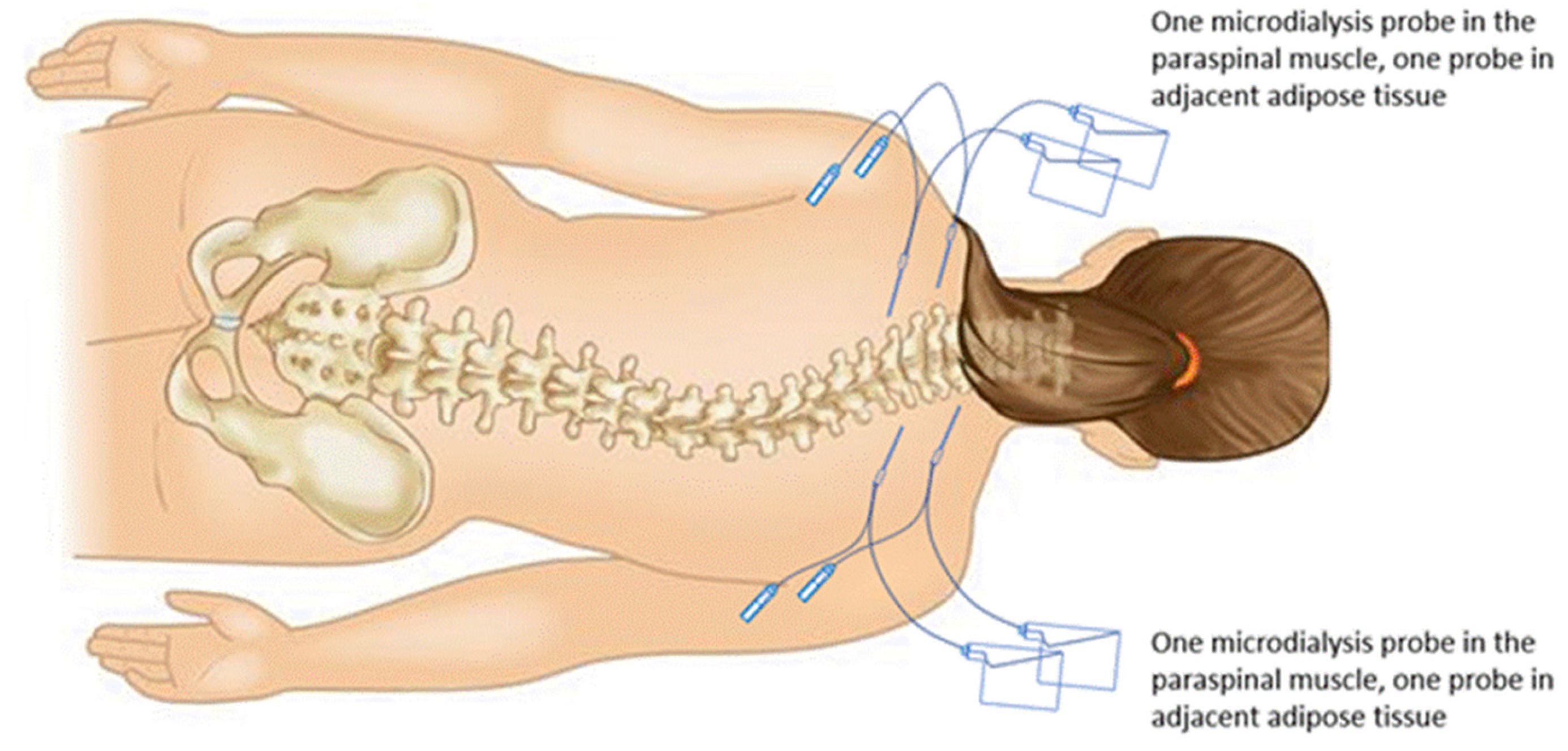 Preprints 106227 g002