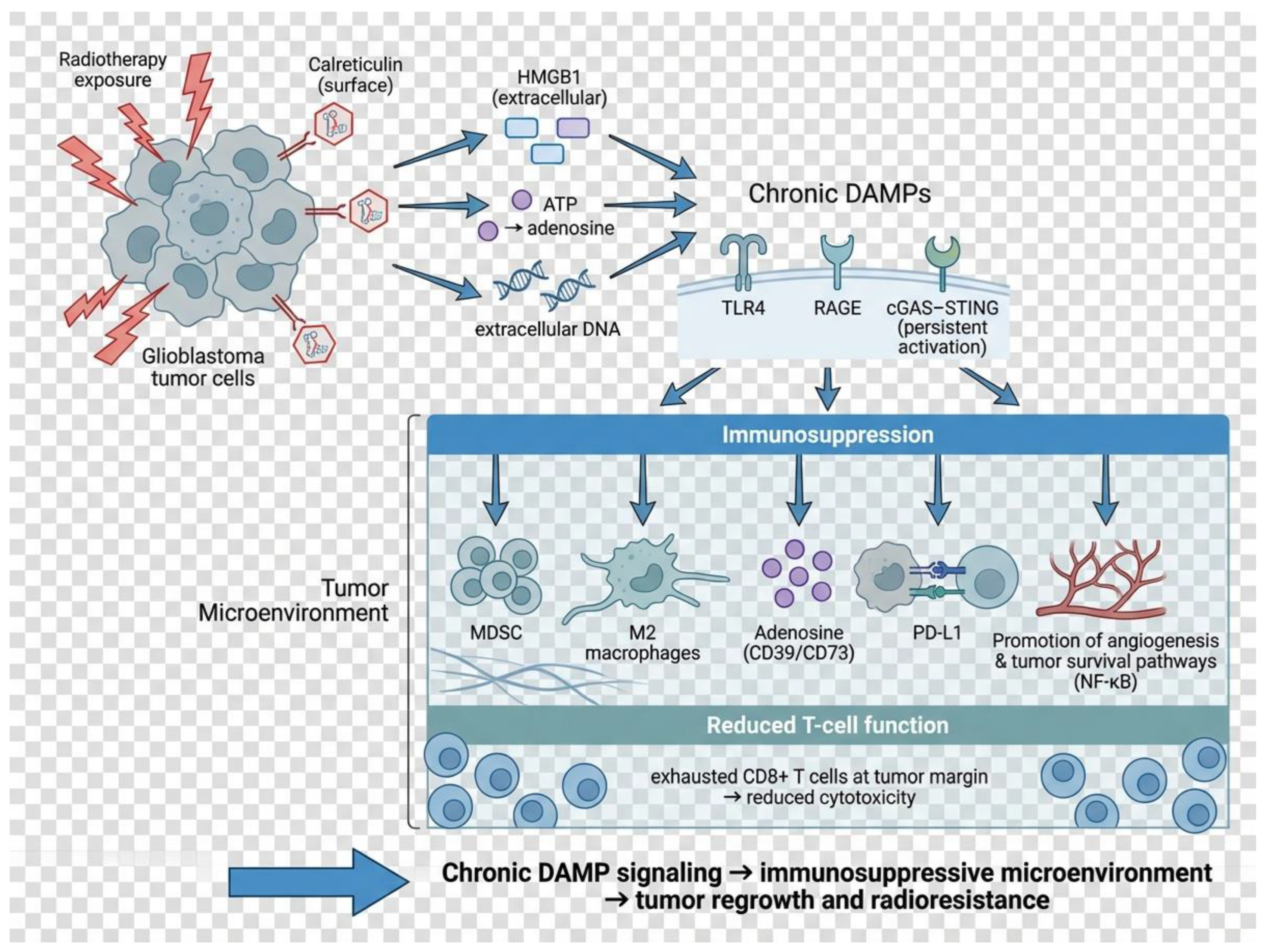 Preprints 193001 g002