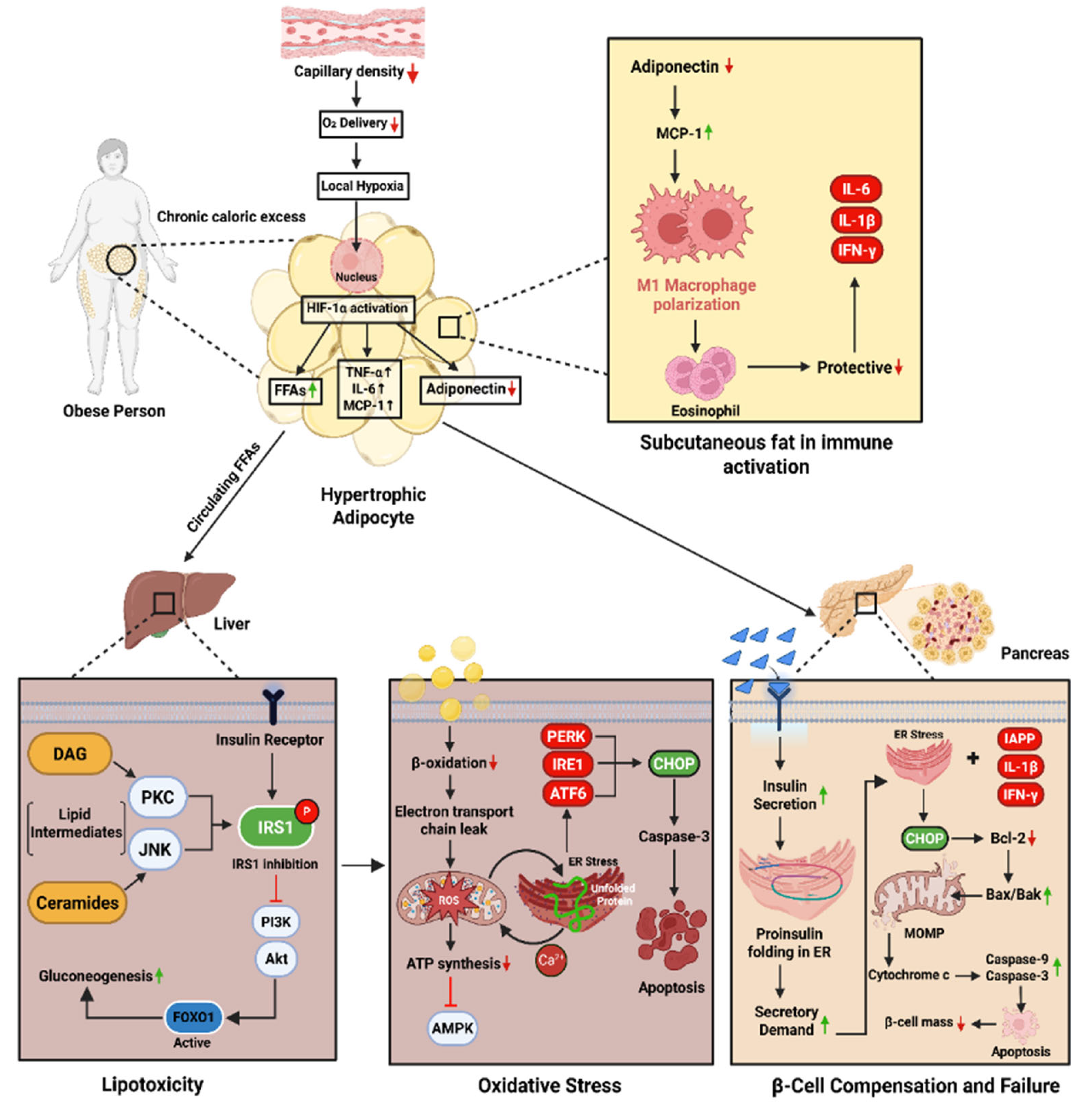 Preprints 171510 g001