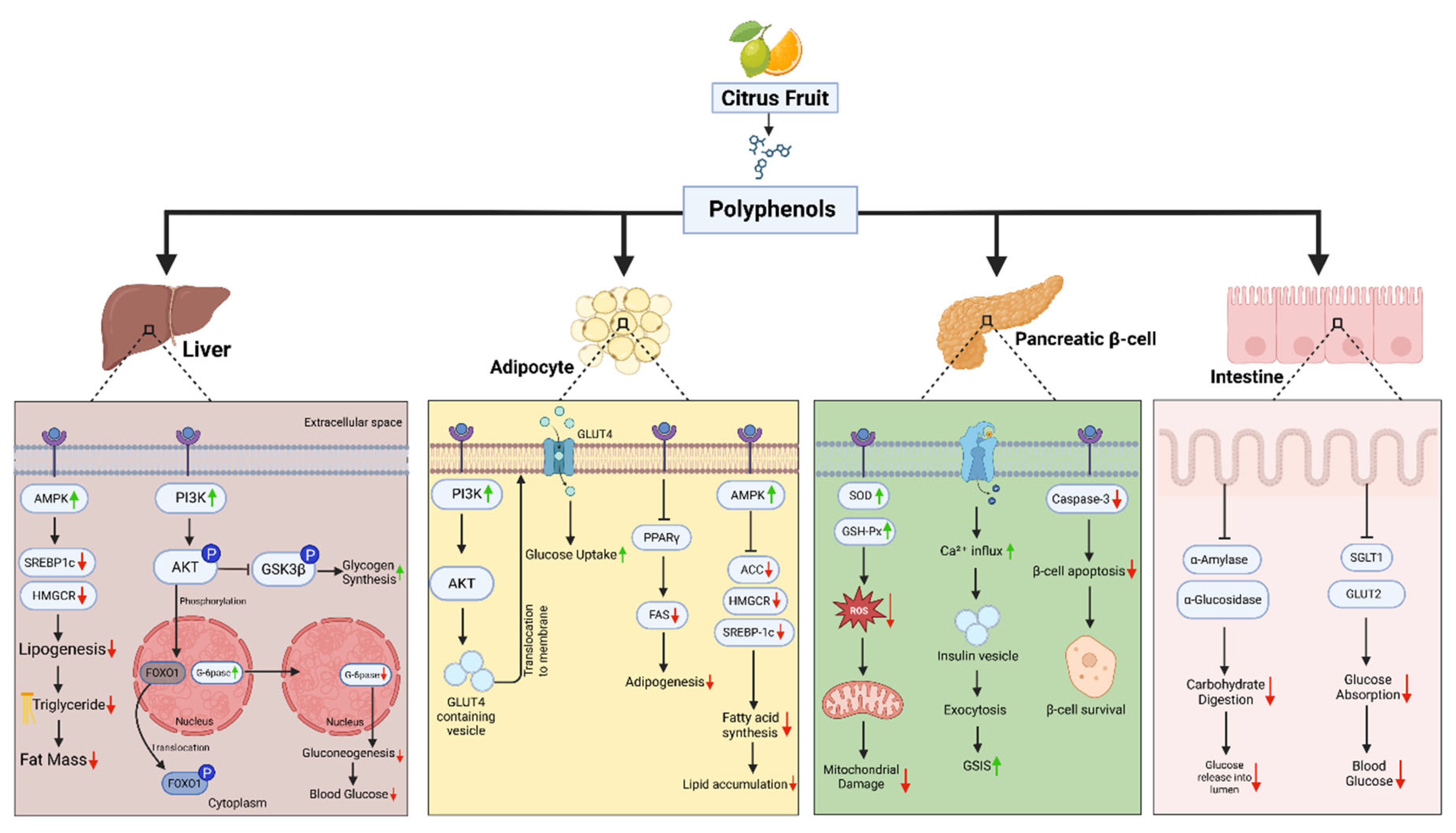 Preprints 171510 g002
