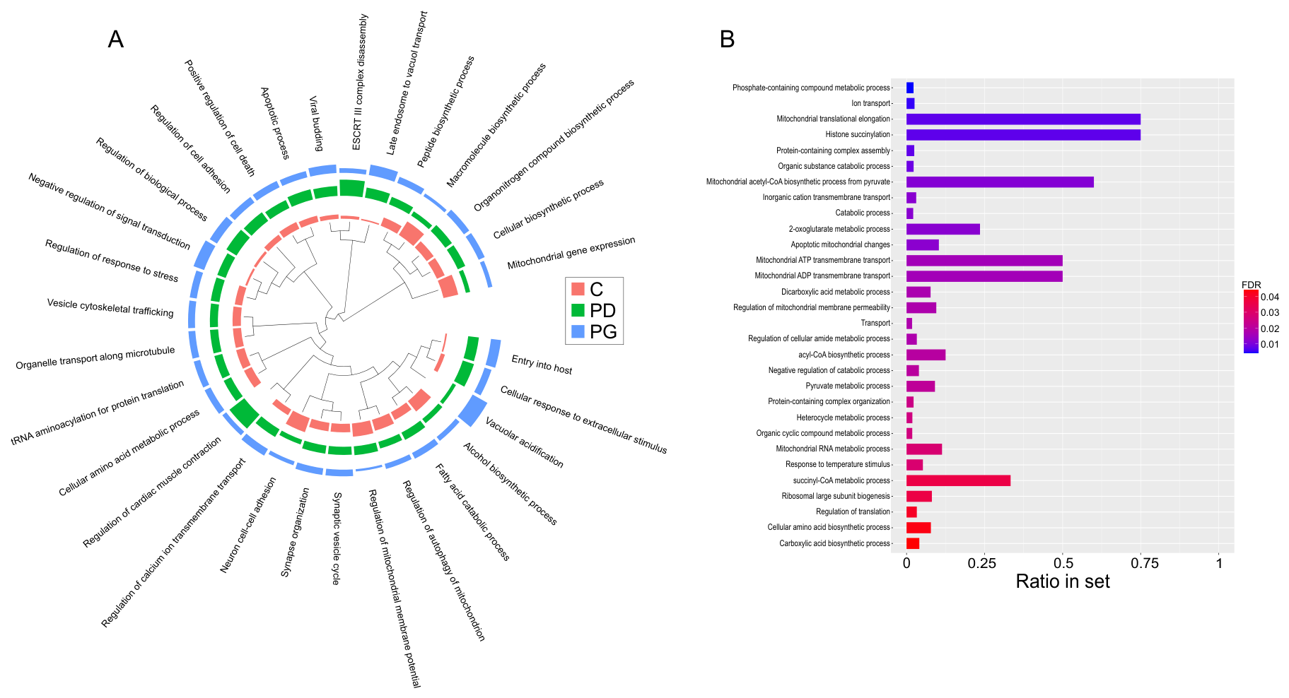 Preprints 223027 g006 Preprints 223027 g006