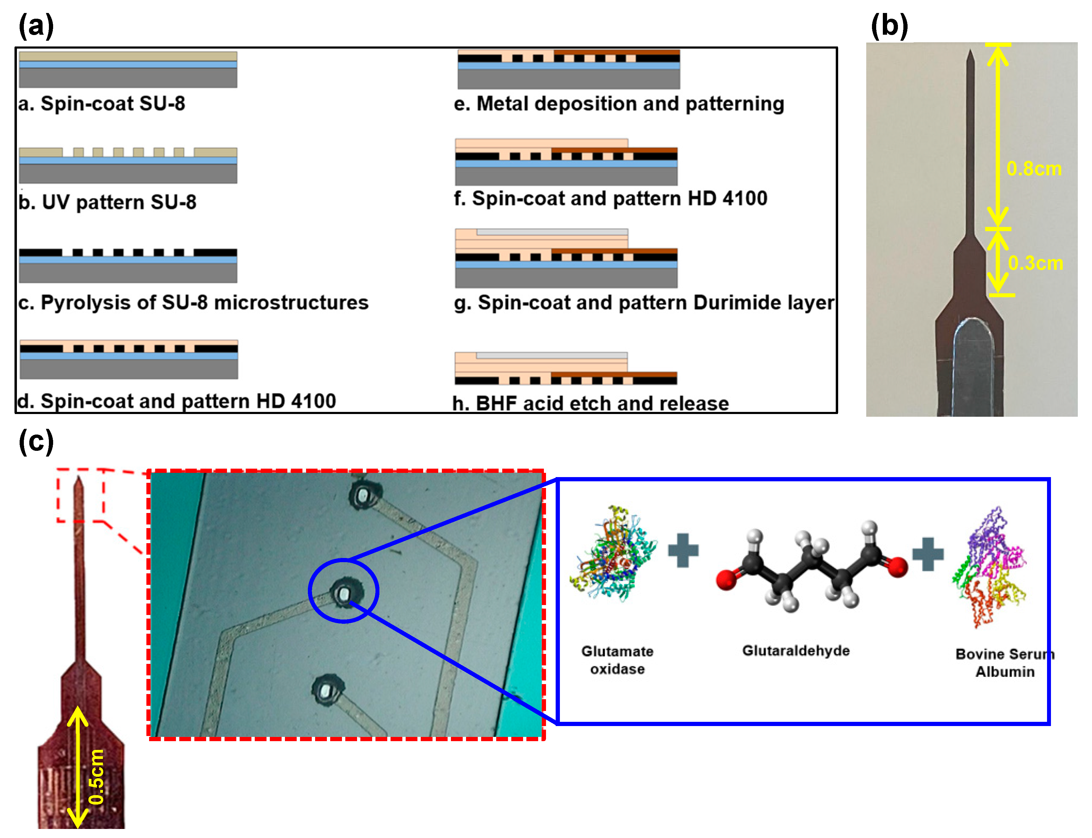 Preprints 106051 g001