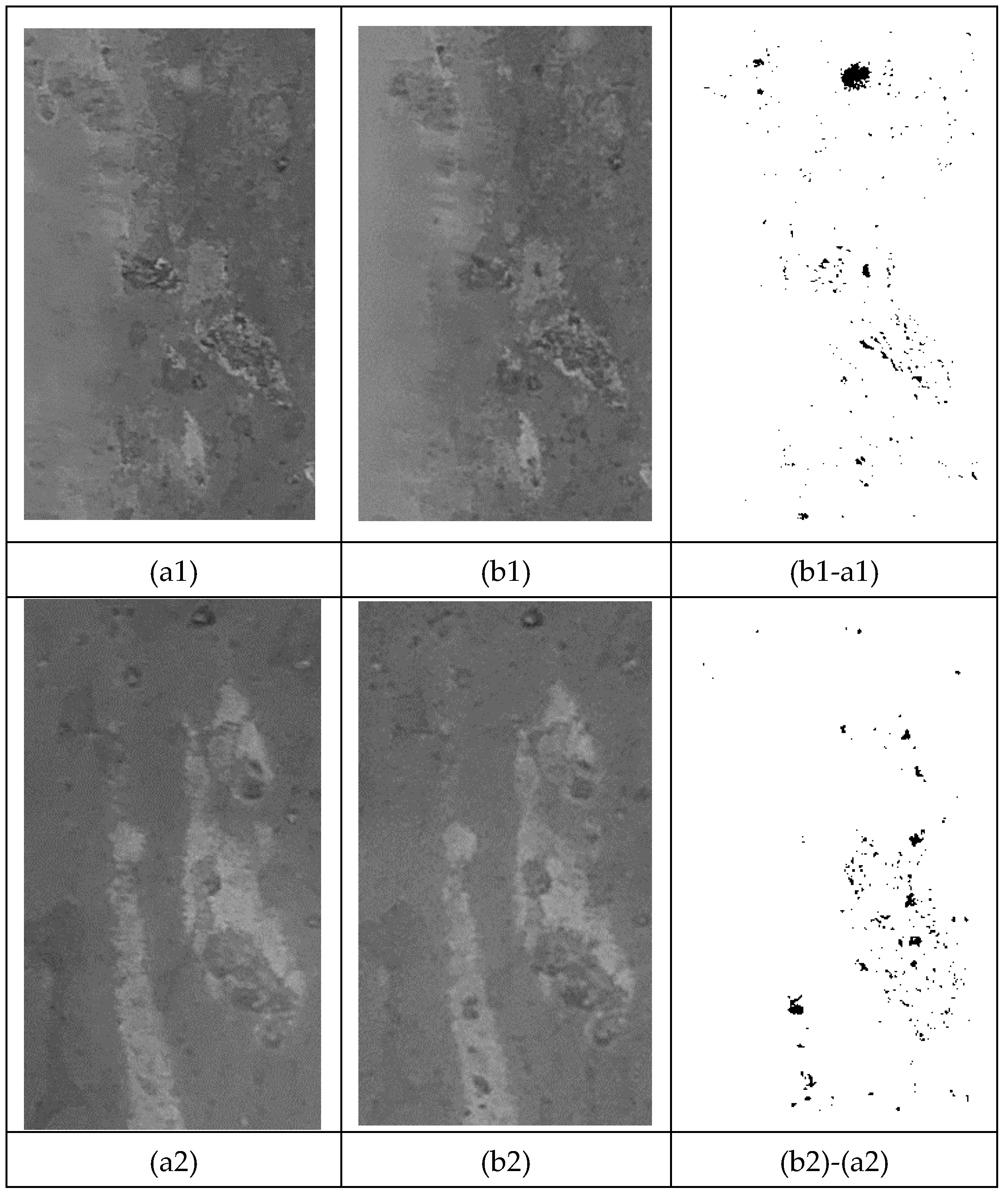 Preprints 181173 g016a