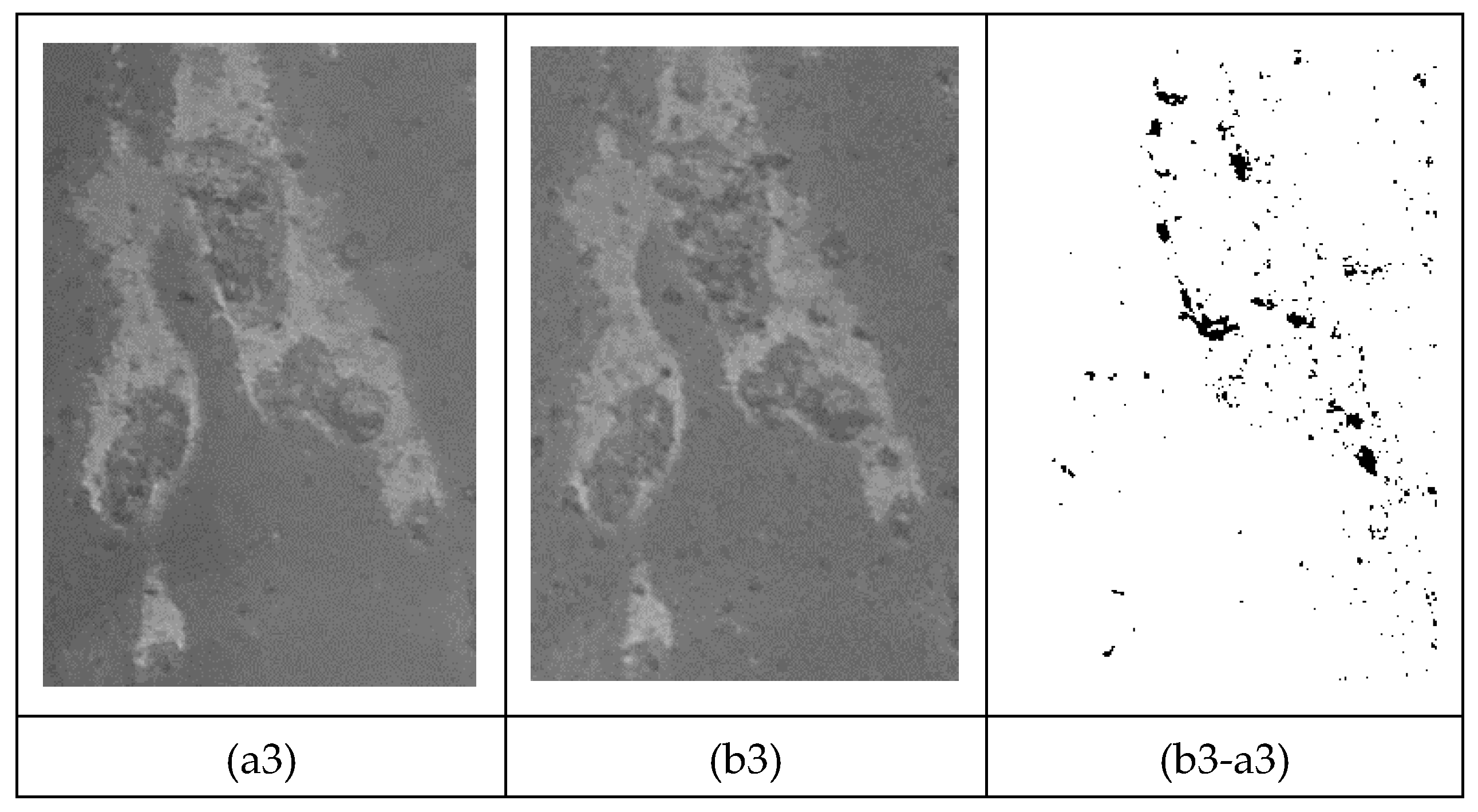 Preprints 181173 g016b