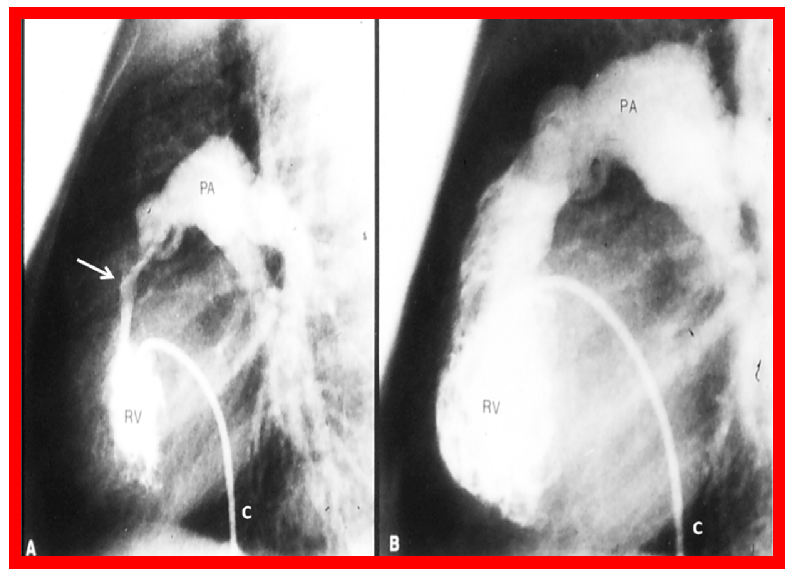 Preprints 72096 g002
