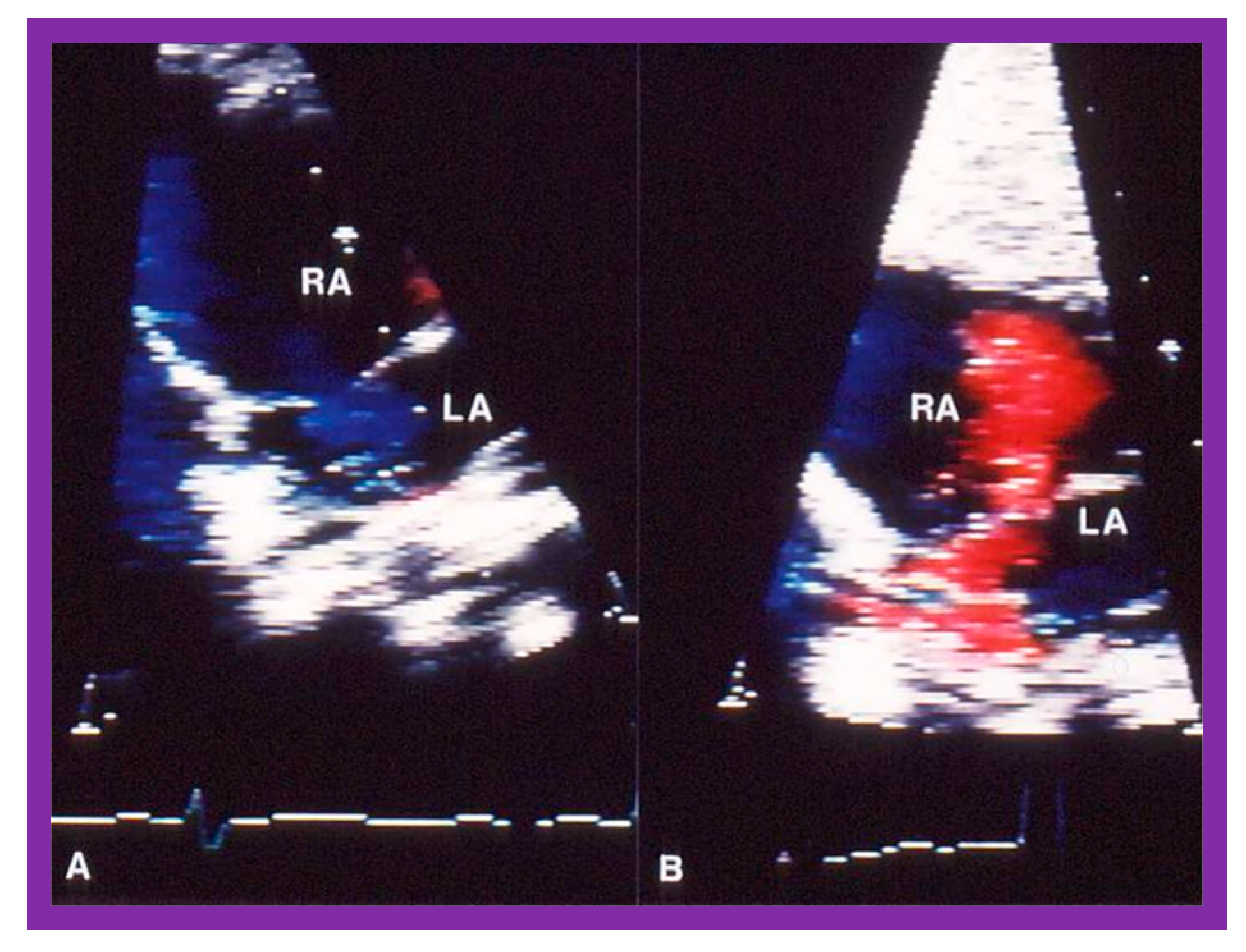 Preprints 72096 g012