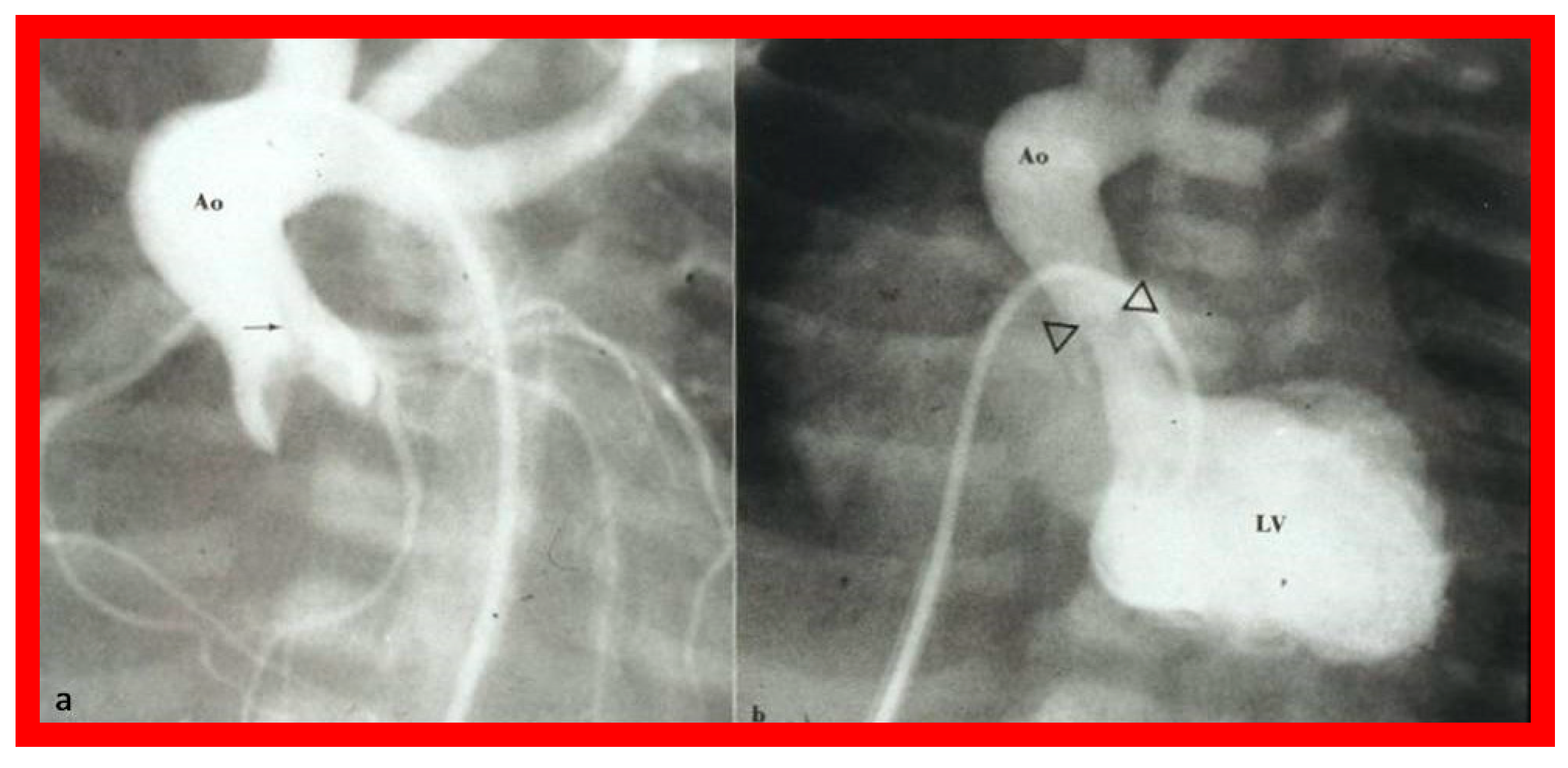 Preprints 72096 g026