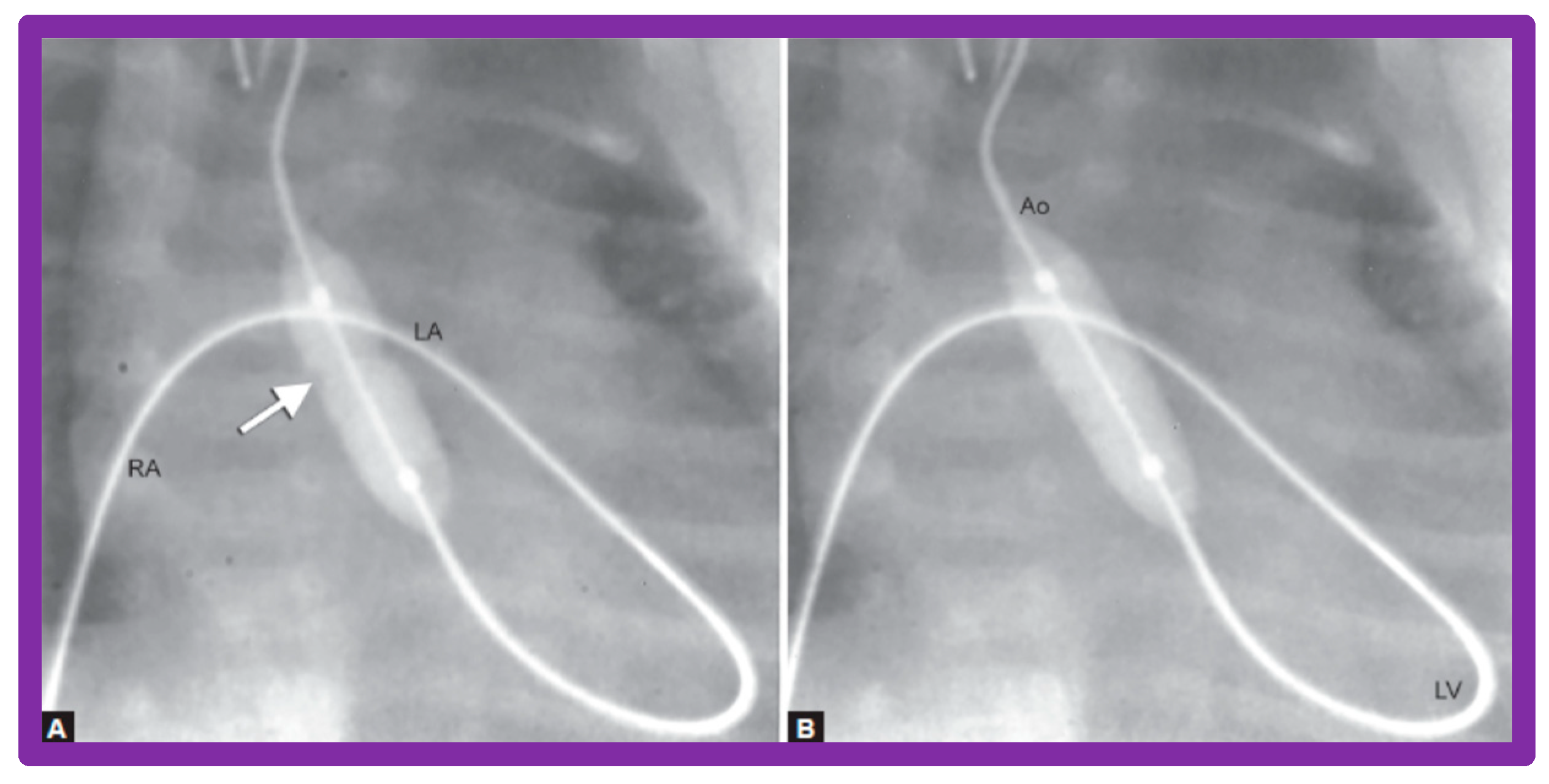 Preprints 72096 g028