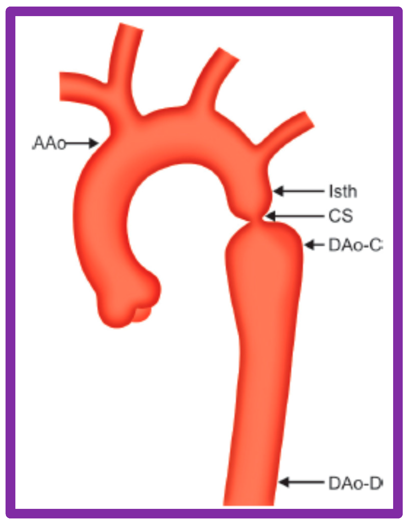 Preprints 72096 g032