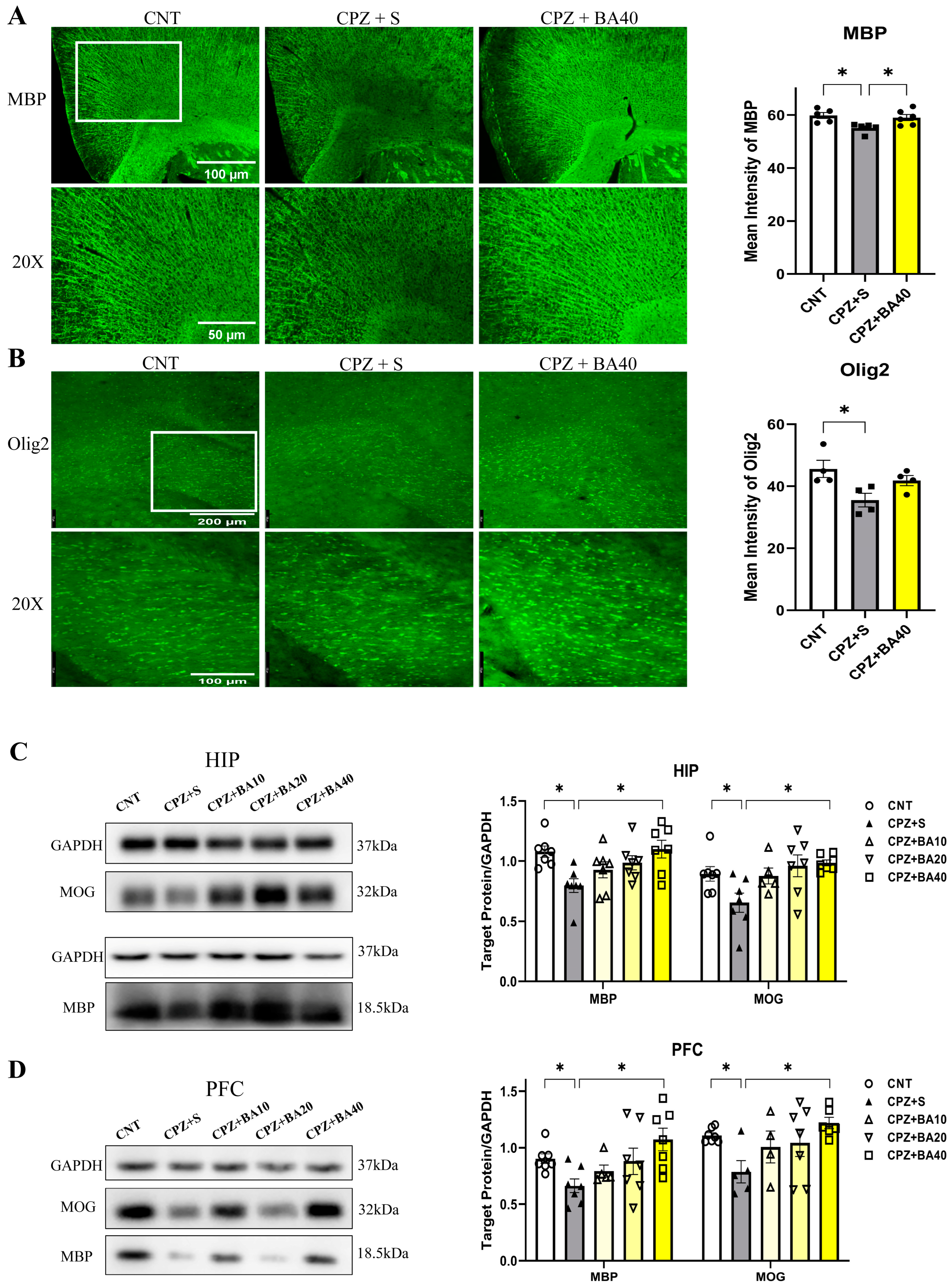 Preprints 156378 g002