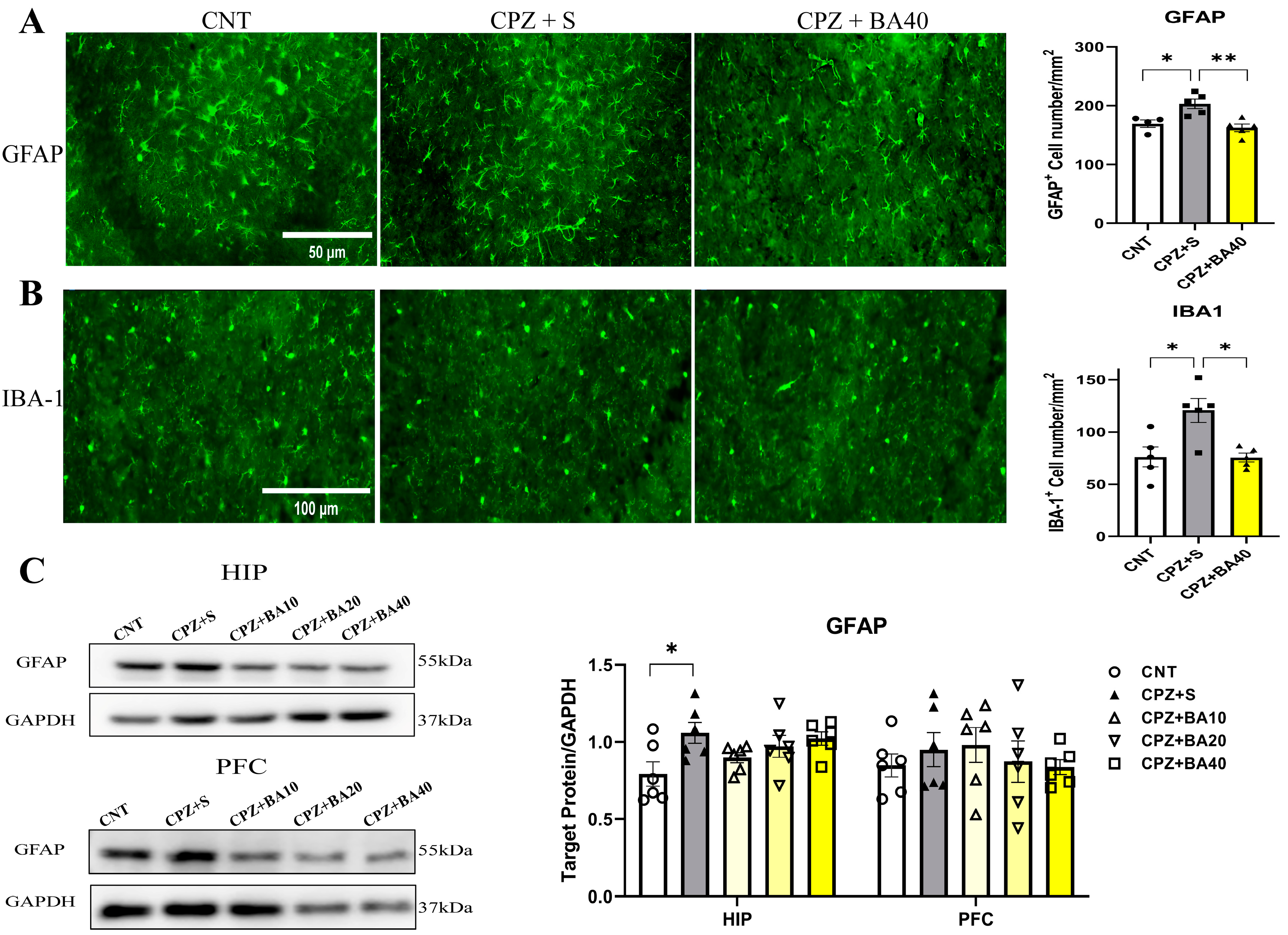 Preprints 156378 g003