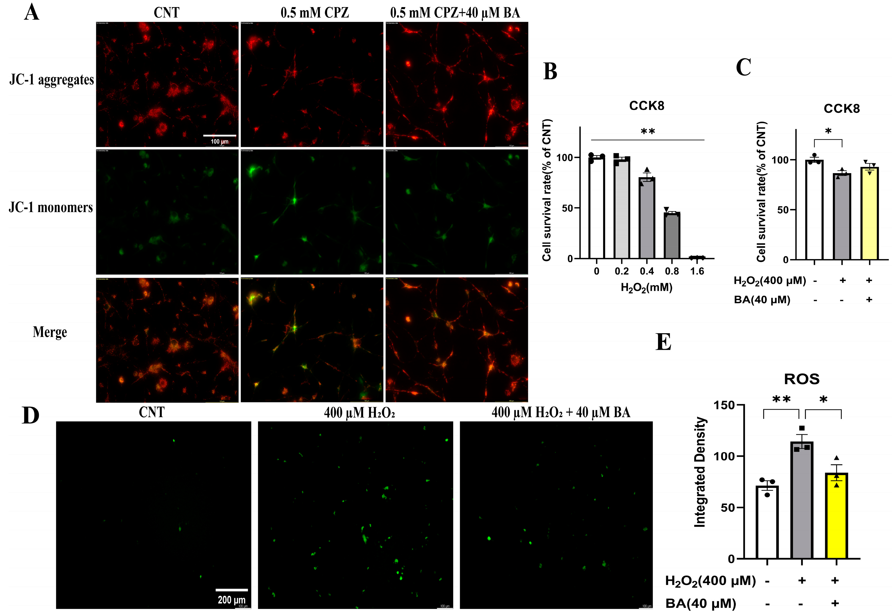 Preprints 156378 g008