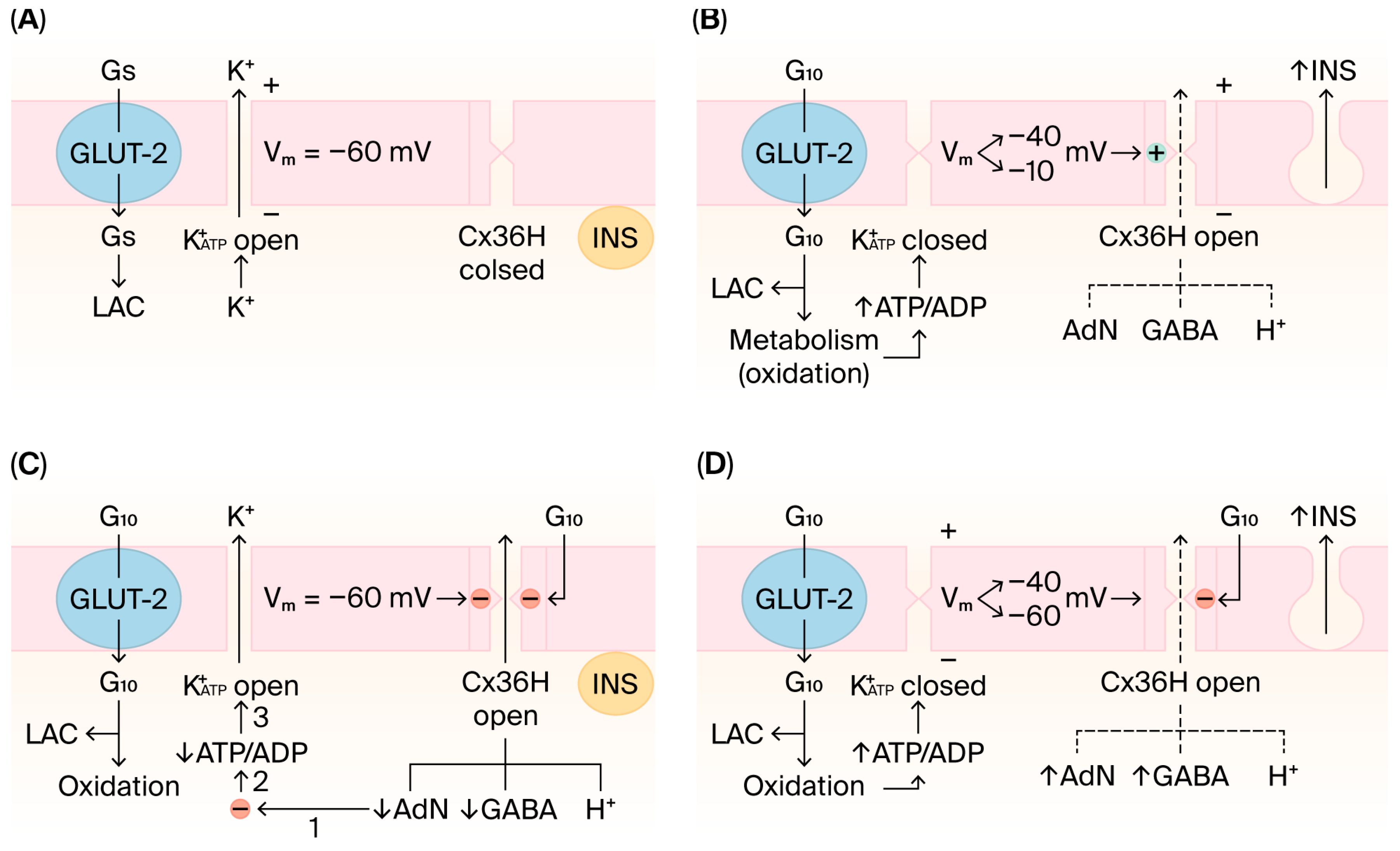 Preprints 202579 g002