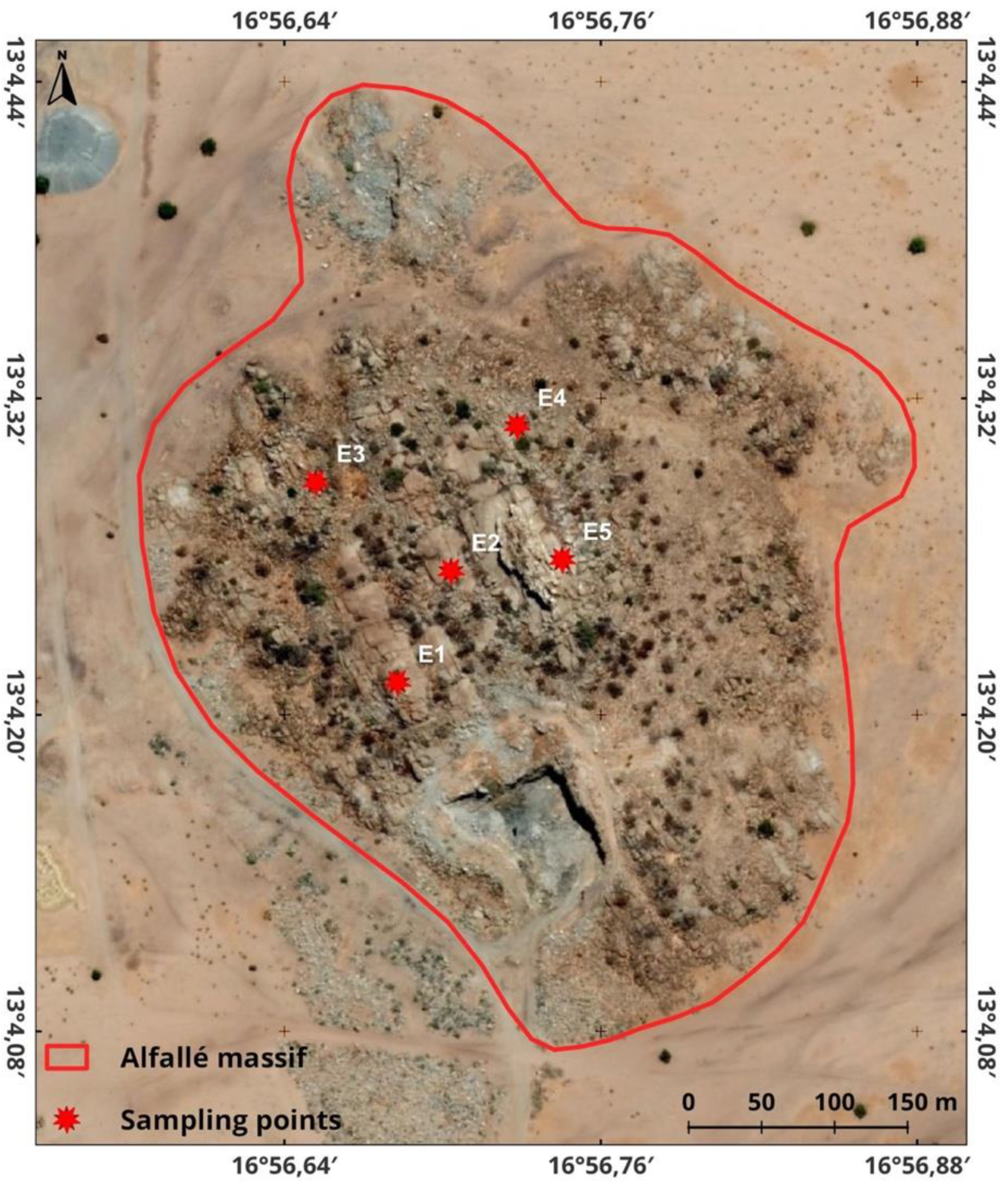 Preprints 95071 g002